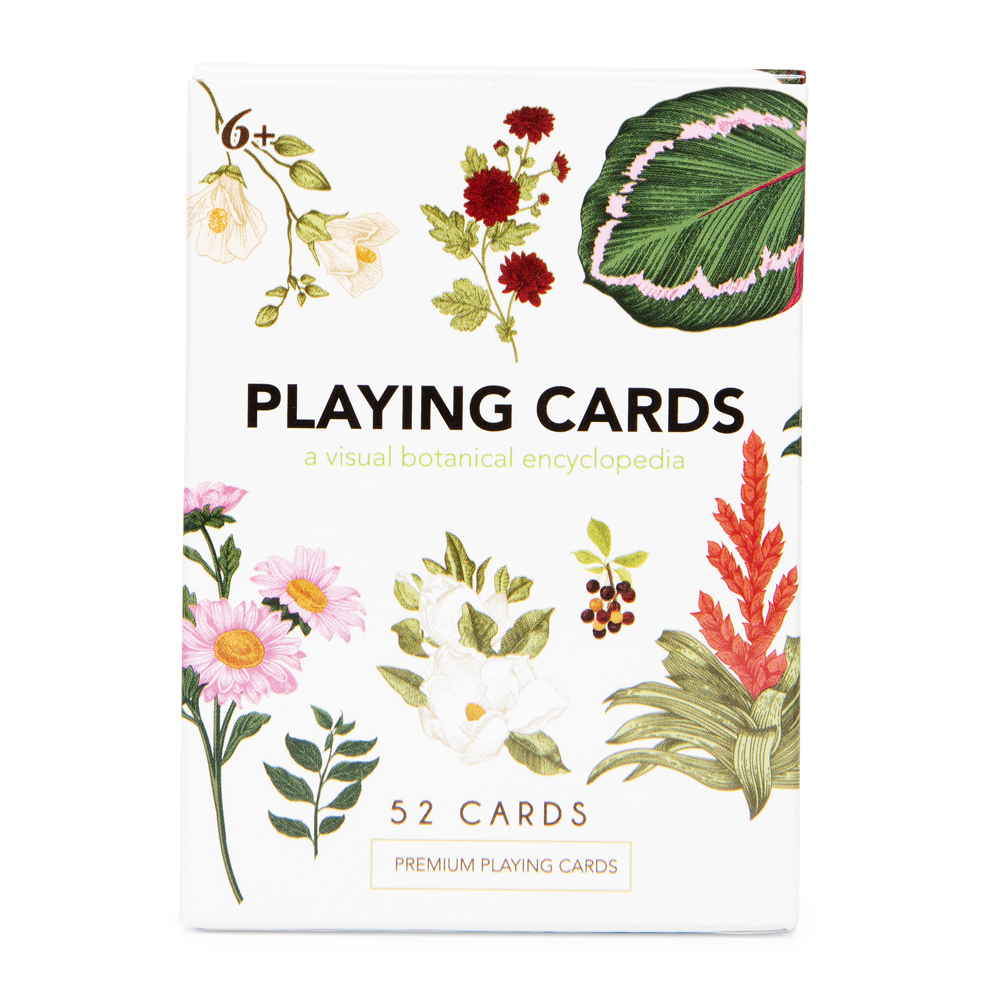 Botanical Premium Playing Cards (Standard 52-Card Deck) | Five Below