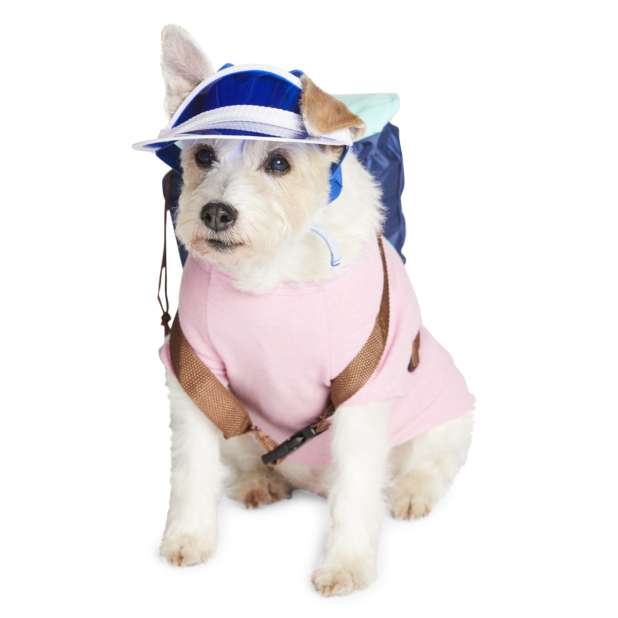 translucent pet visor