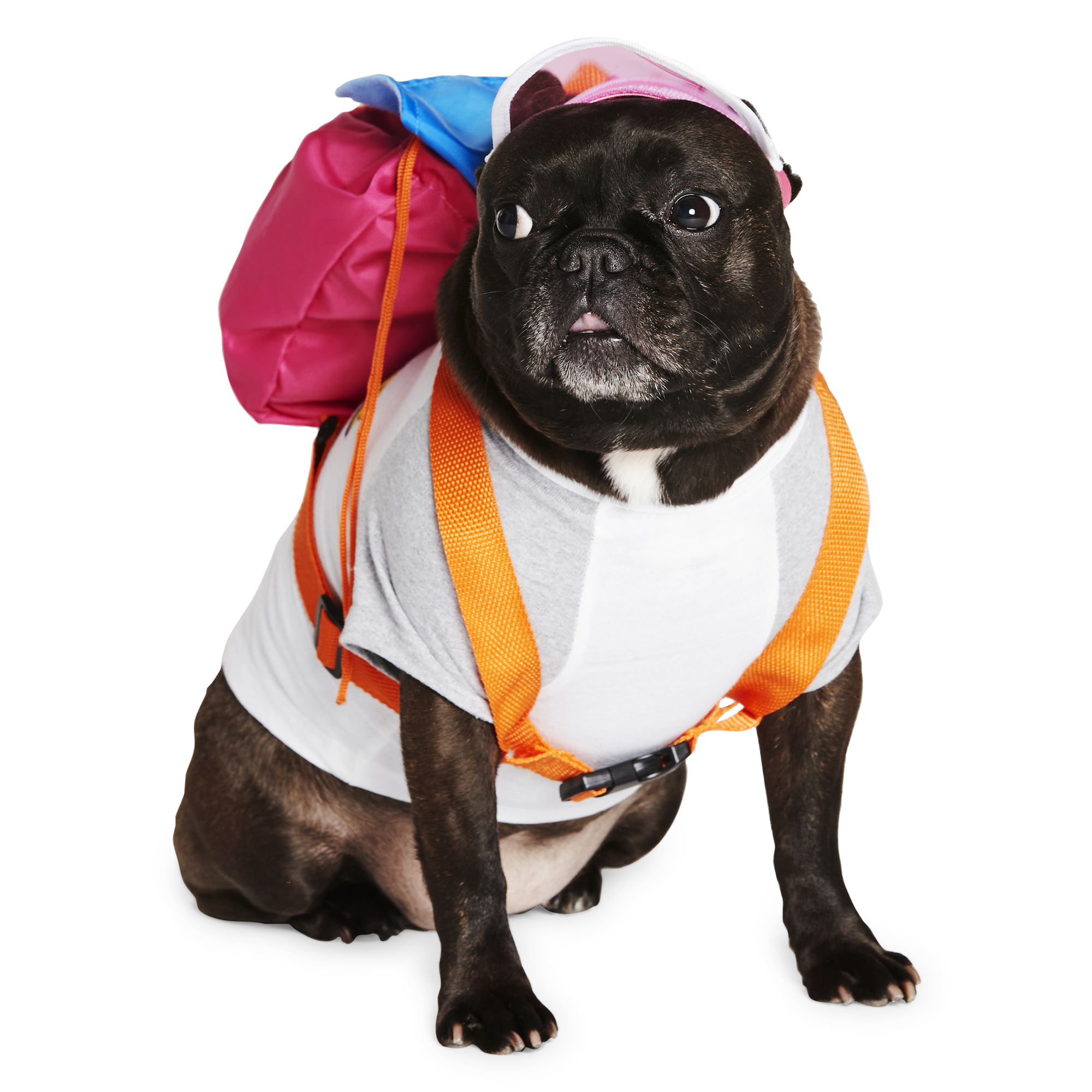 translucent pet visor