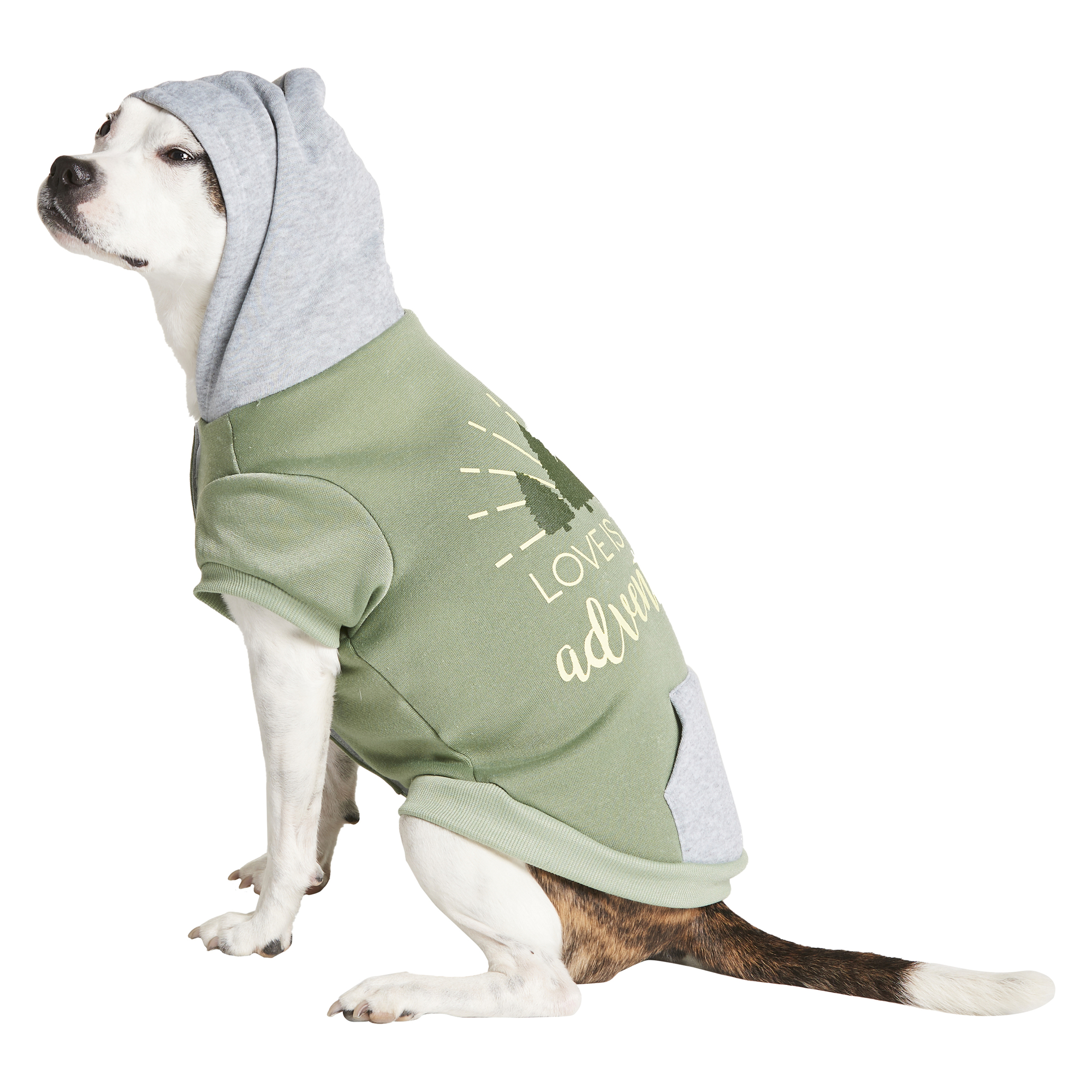 Pet Hoodie