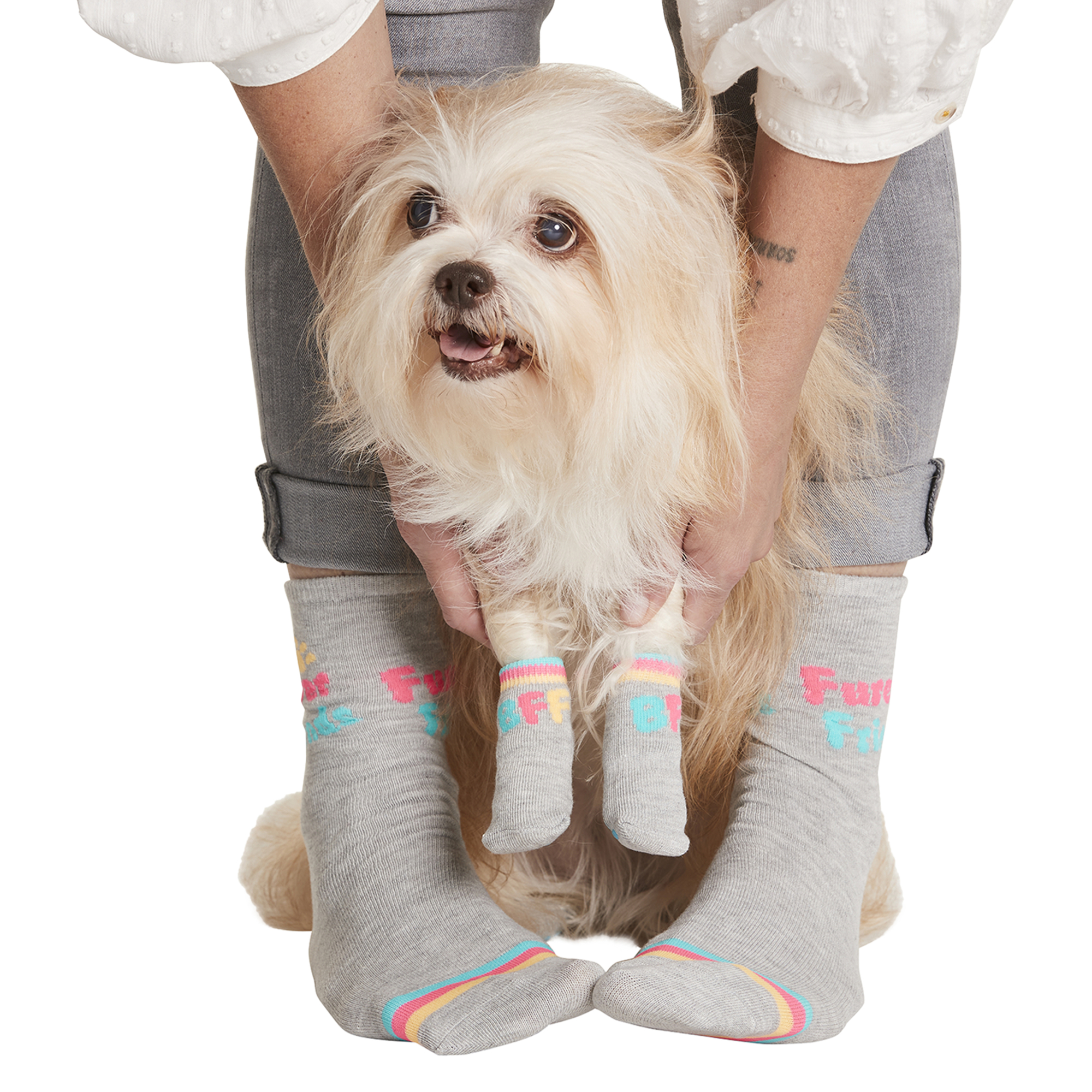 cute pet & owner matching socks set
