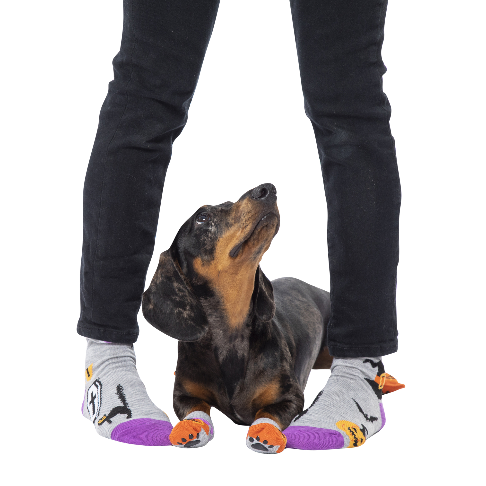 halloween pet & owner socks matching set