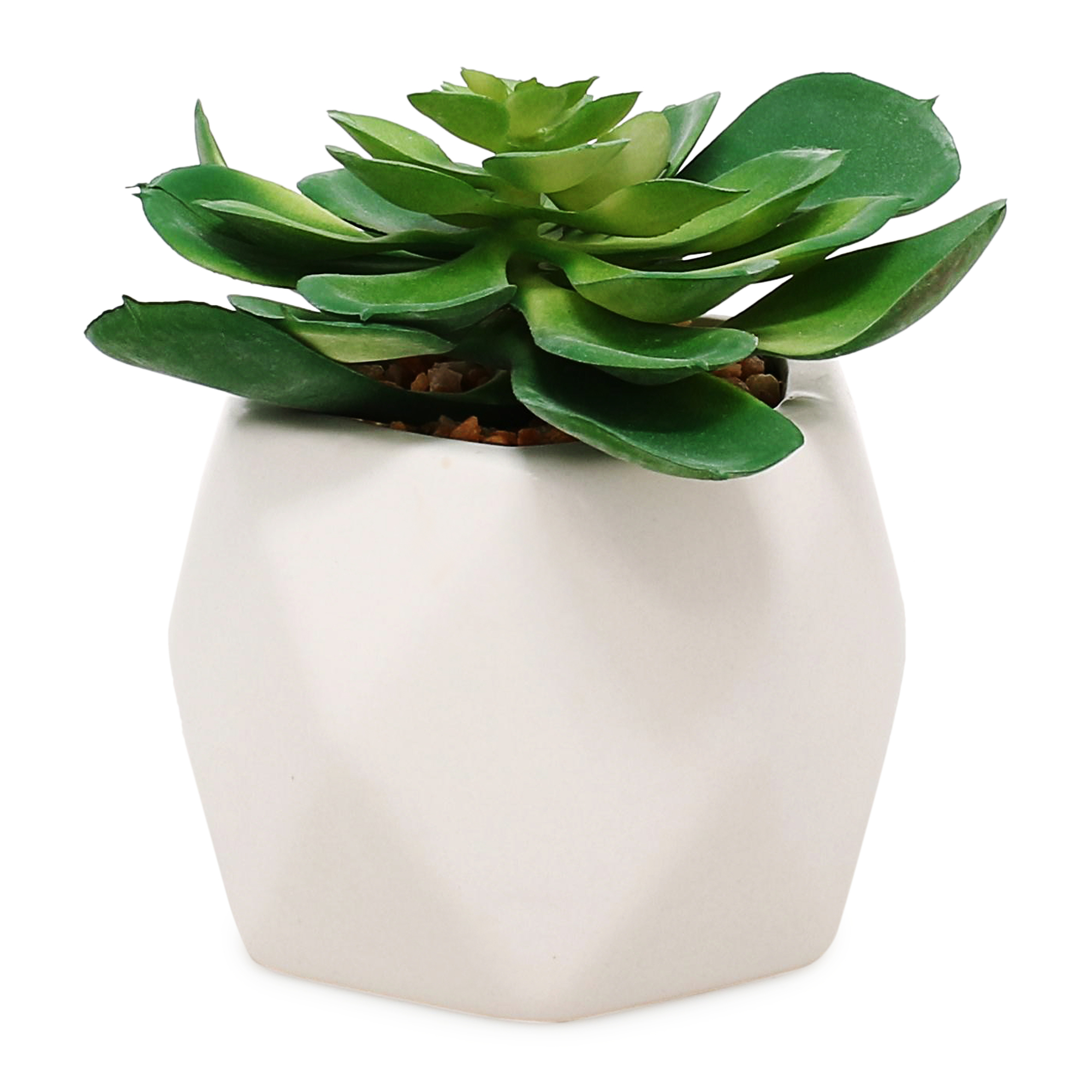 faux succulent faceted ceramic pot 5in