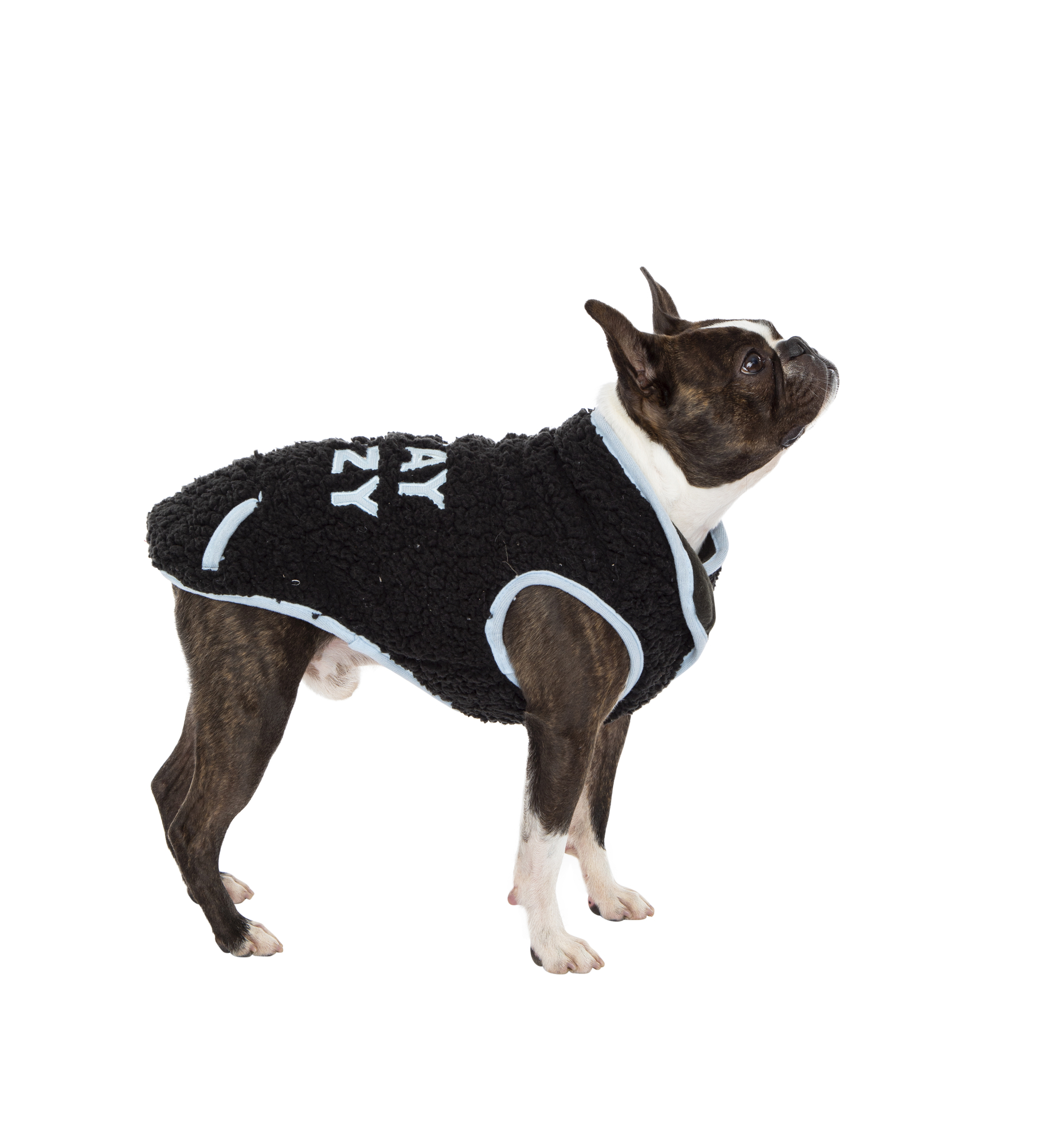 sherpa pet jacket with applique quote