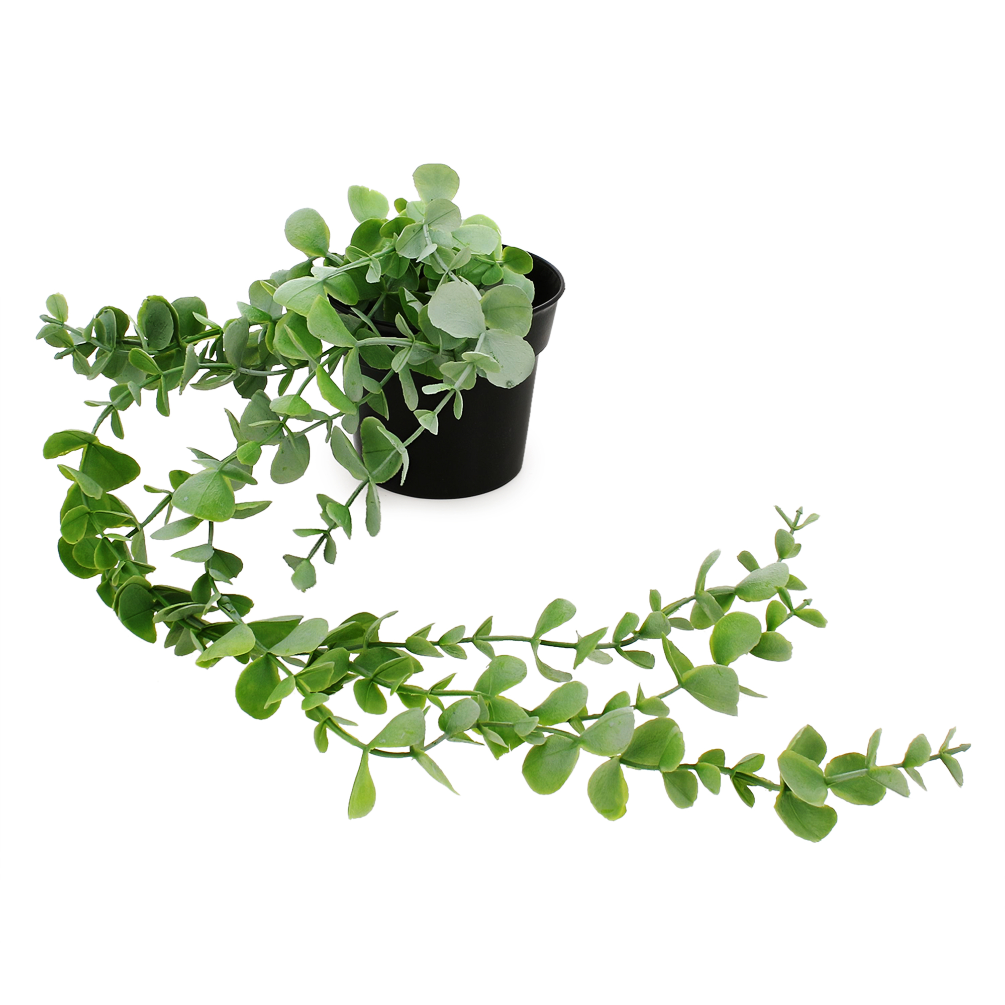 faux eucalyptus plant