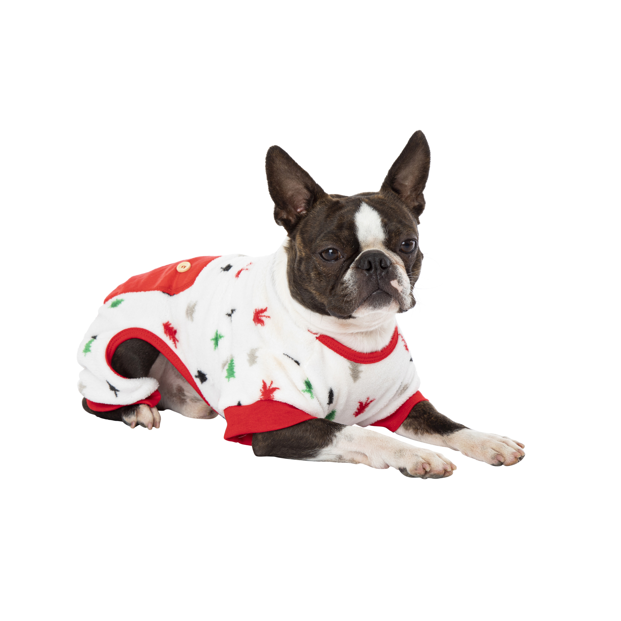 Christmas Dogs Print Flannel PJs for Pet & Owner  Christmas dog outfits,  Cute christmas pajamas, Womens christmas pajamas