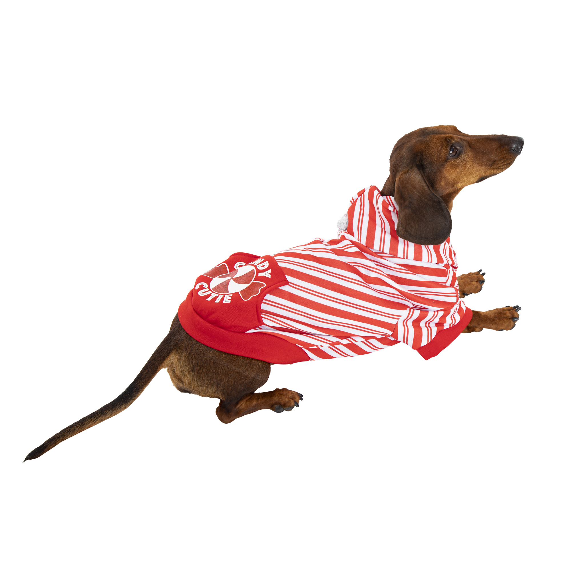 cute holiday pet hoodie