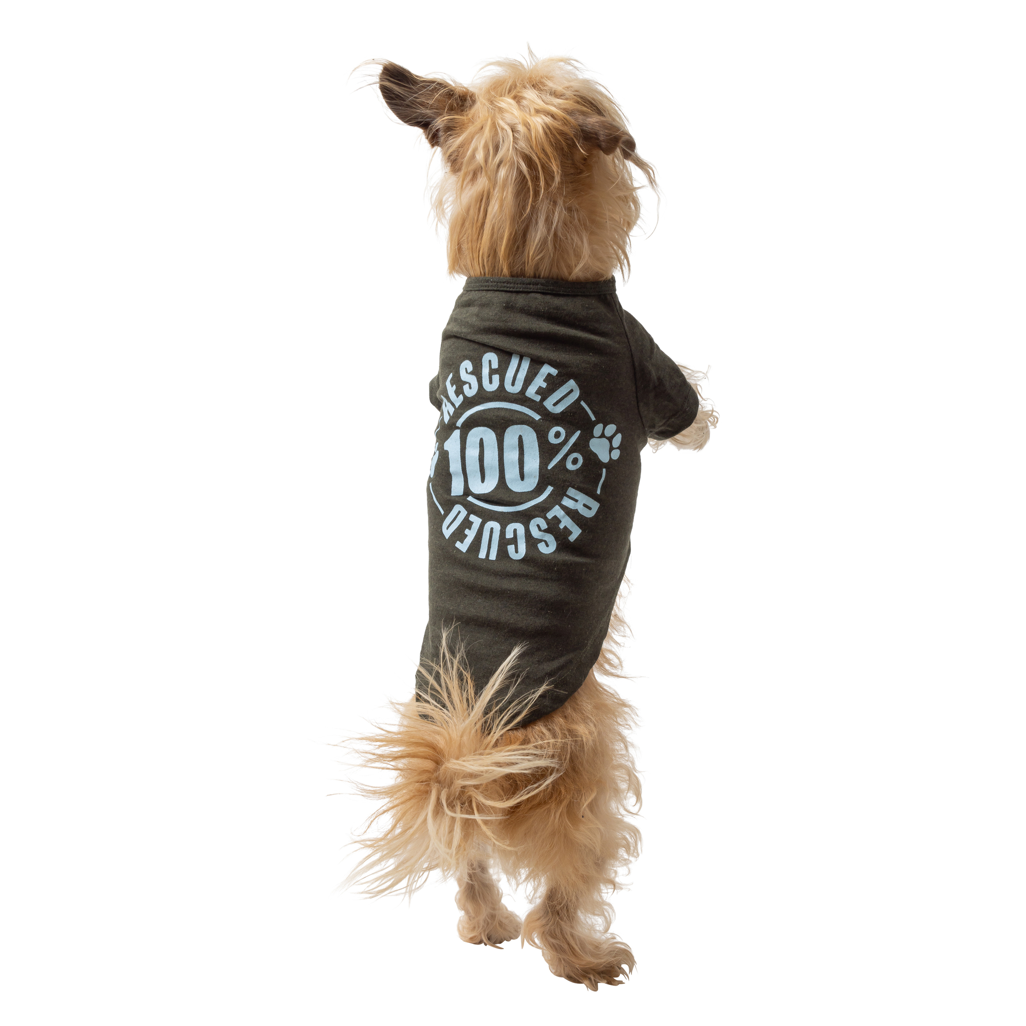 dog graphic tee - 100% rescued