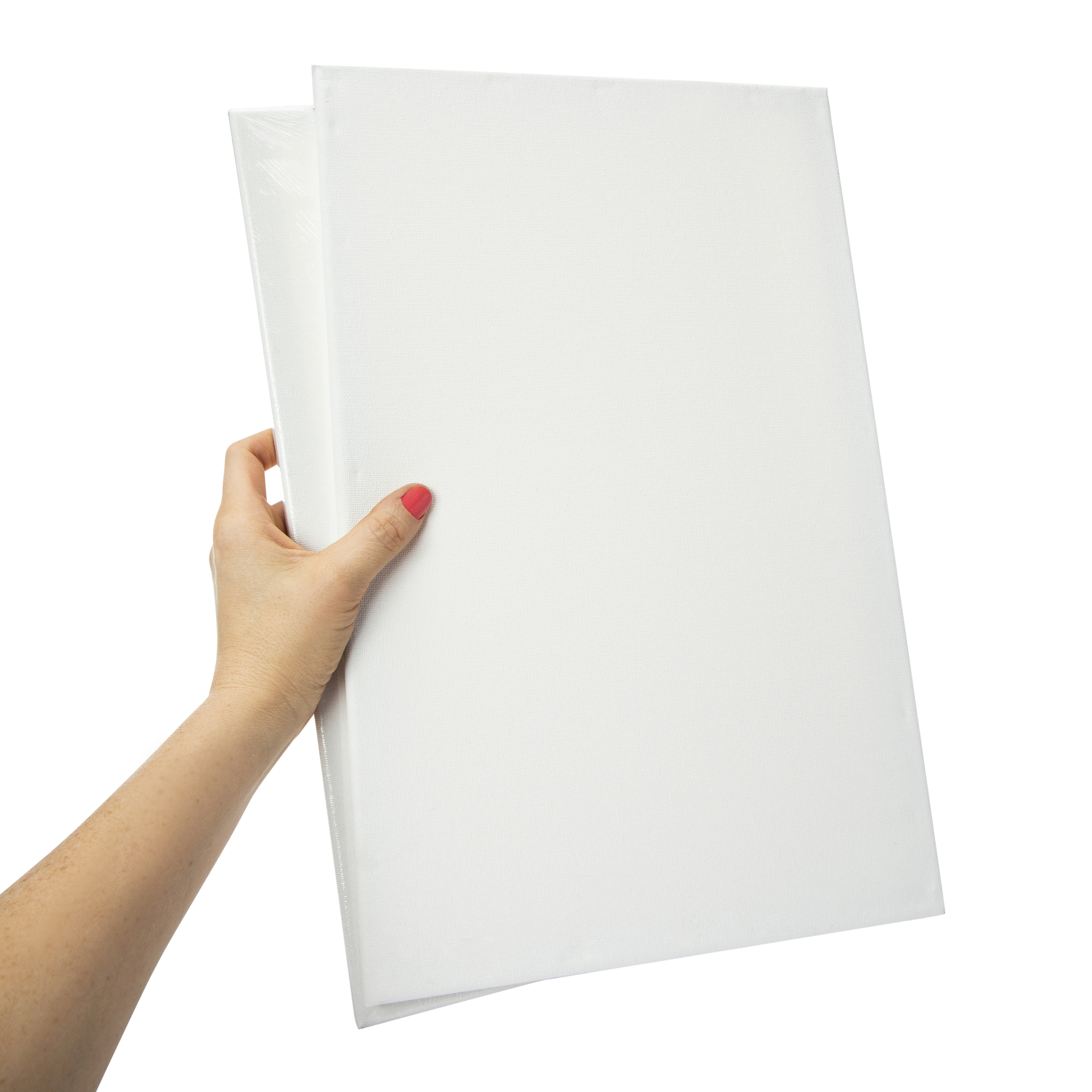 11in x 17in stretched canvas 2-pack