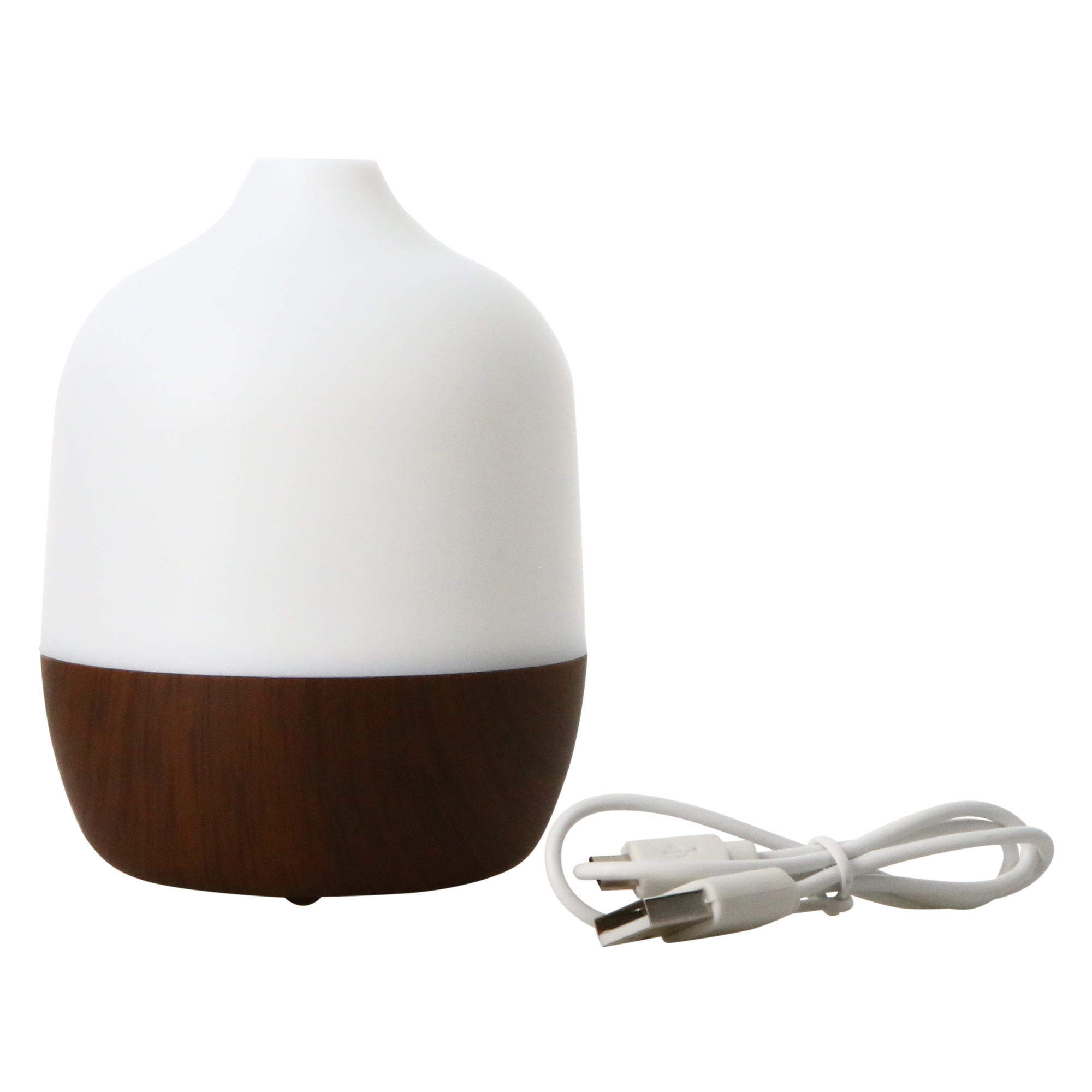 WWW_AROMADIFFUSER_HALF × 2 WHAT WE WANT 719X9GnUjhL._UF894,1000_QL80_.jpg