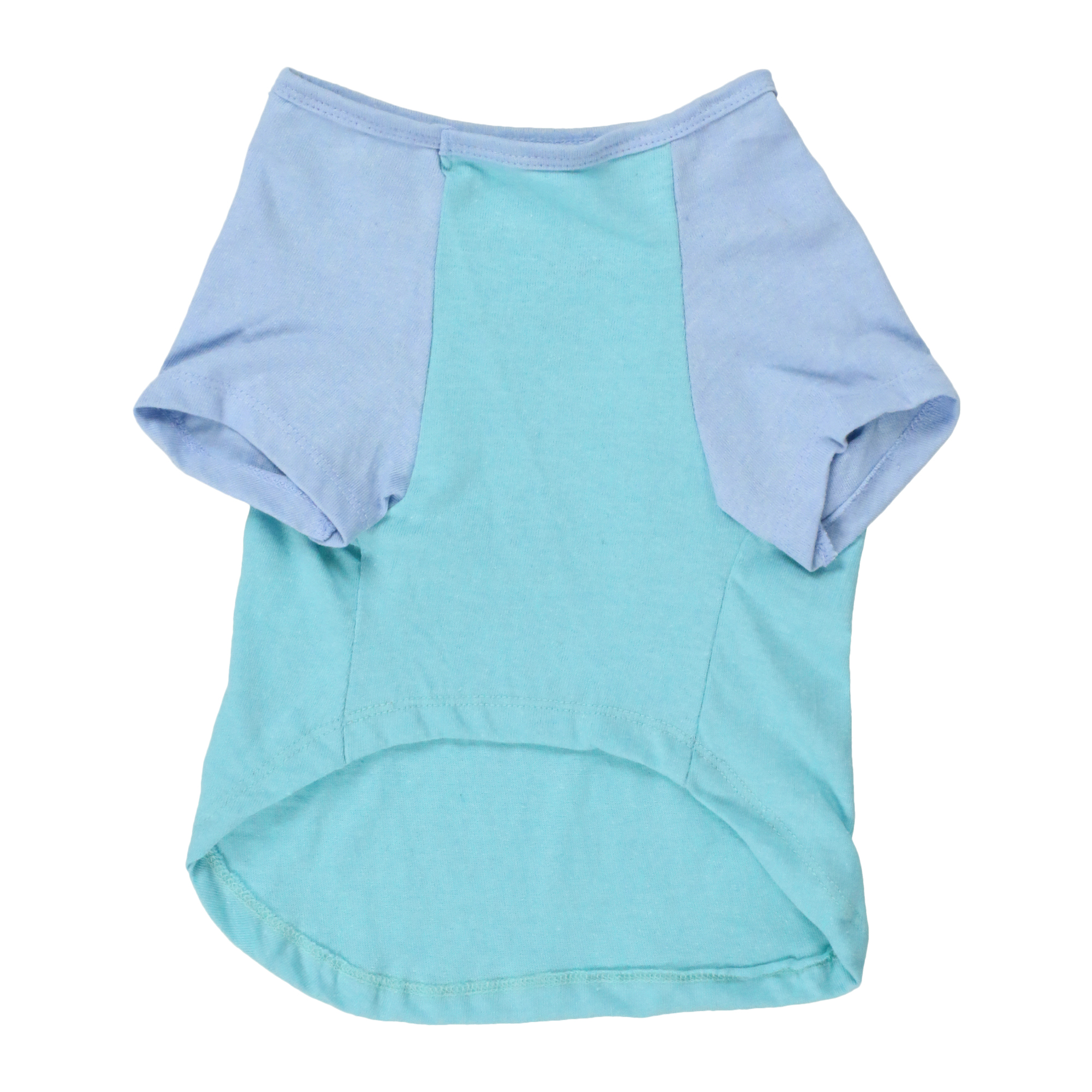 summer dog graphic tee