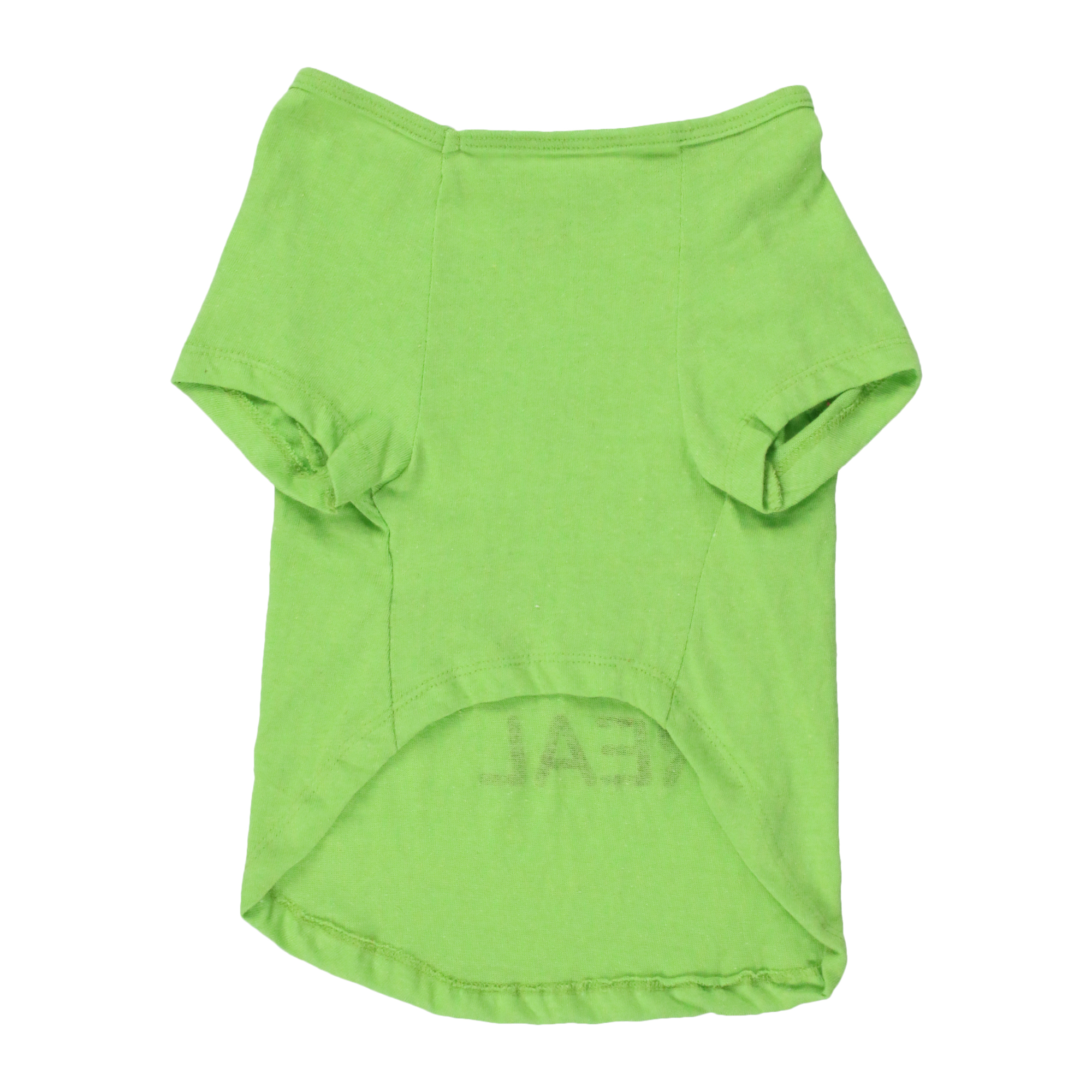 summer dog graphic tee