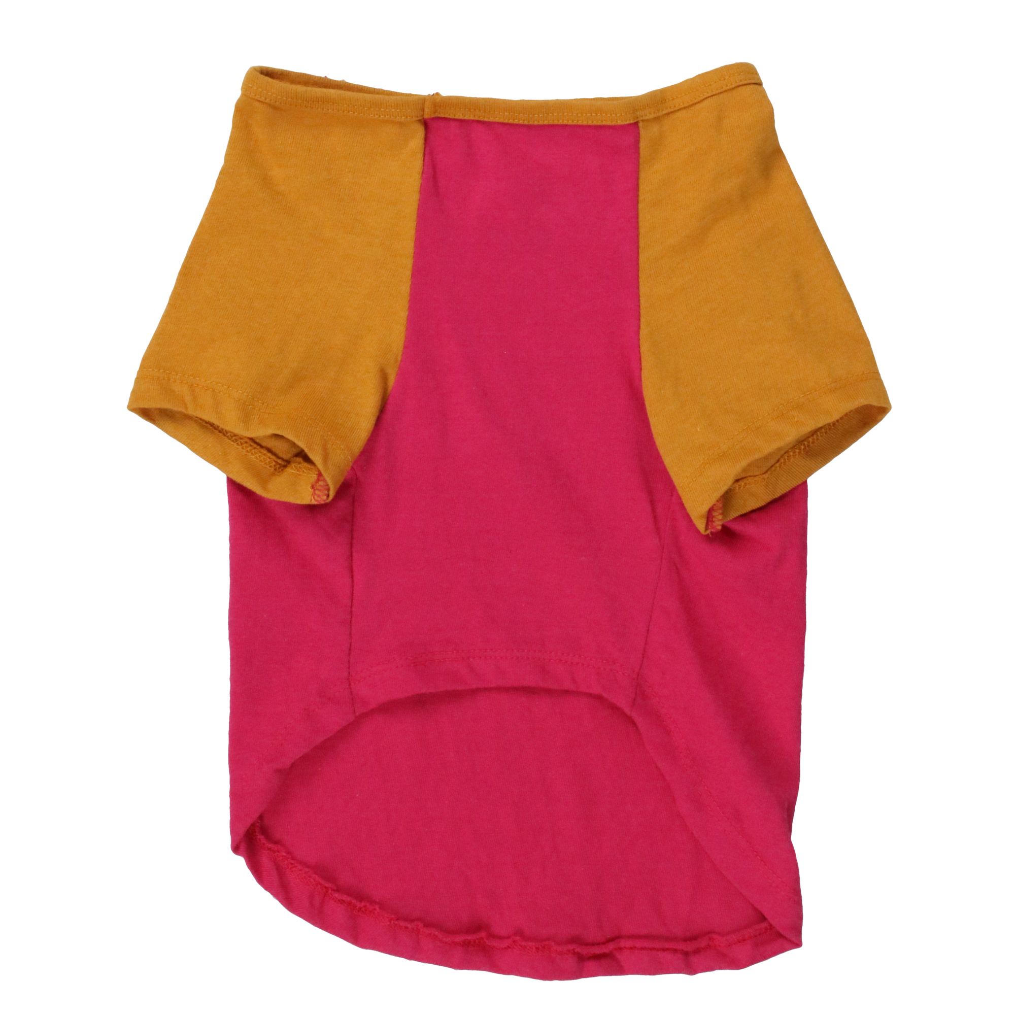 summer dog graphic tee