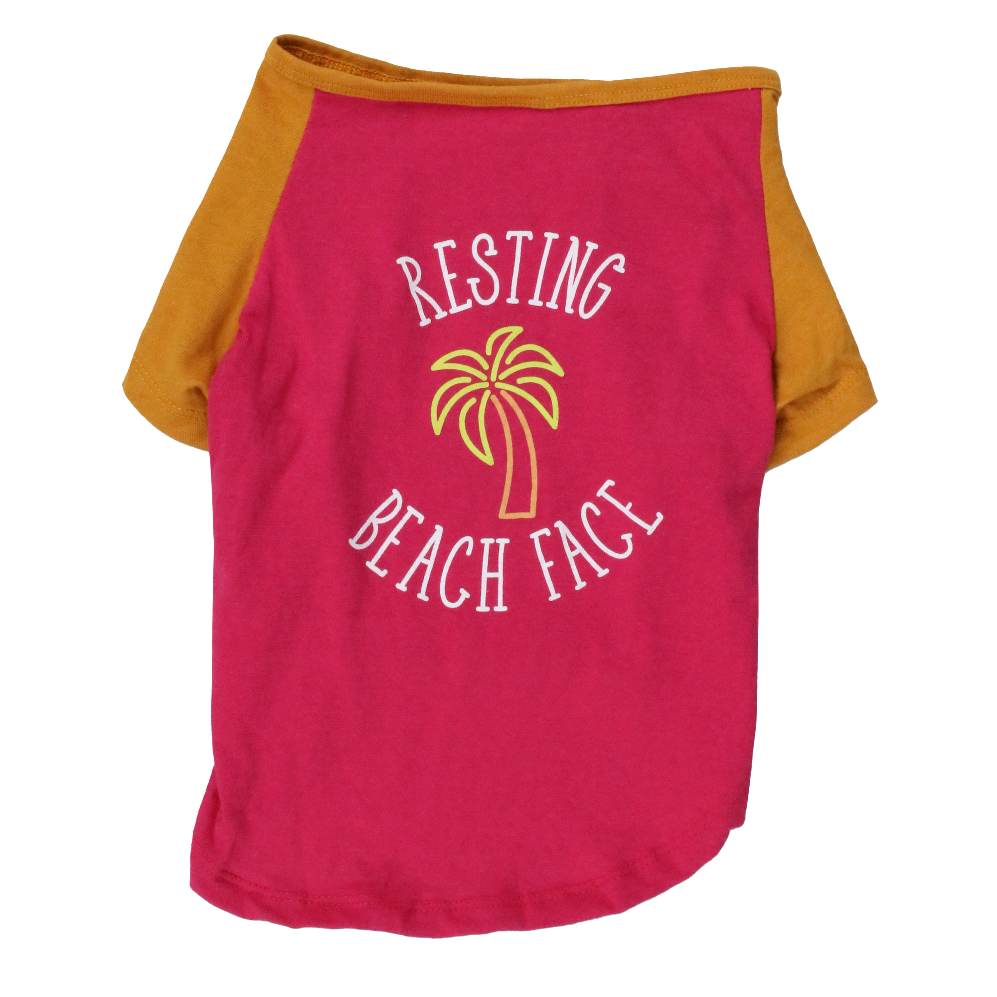 summer dog graphic tee