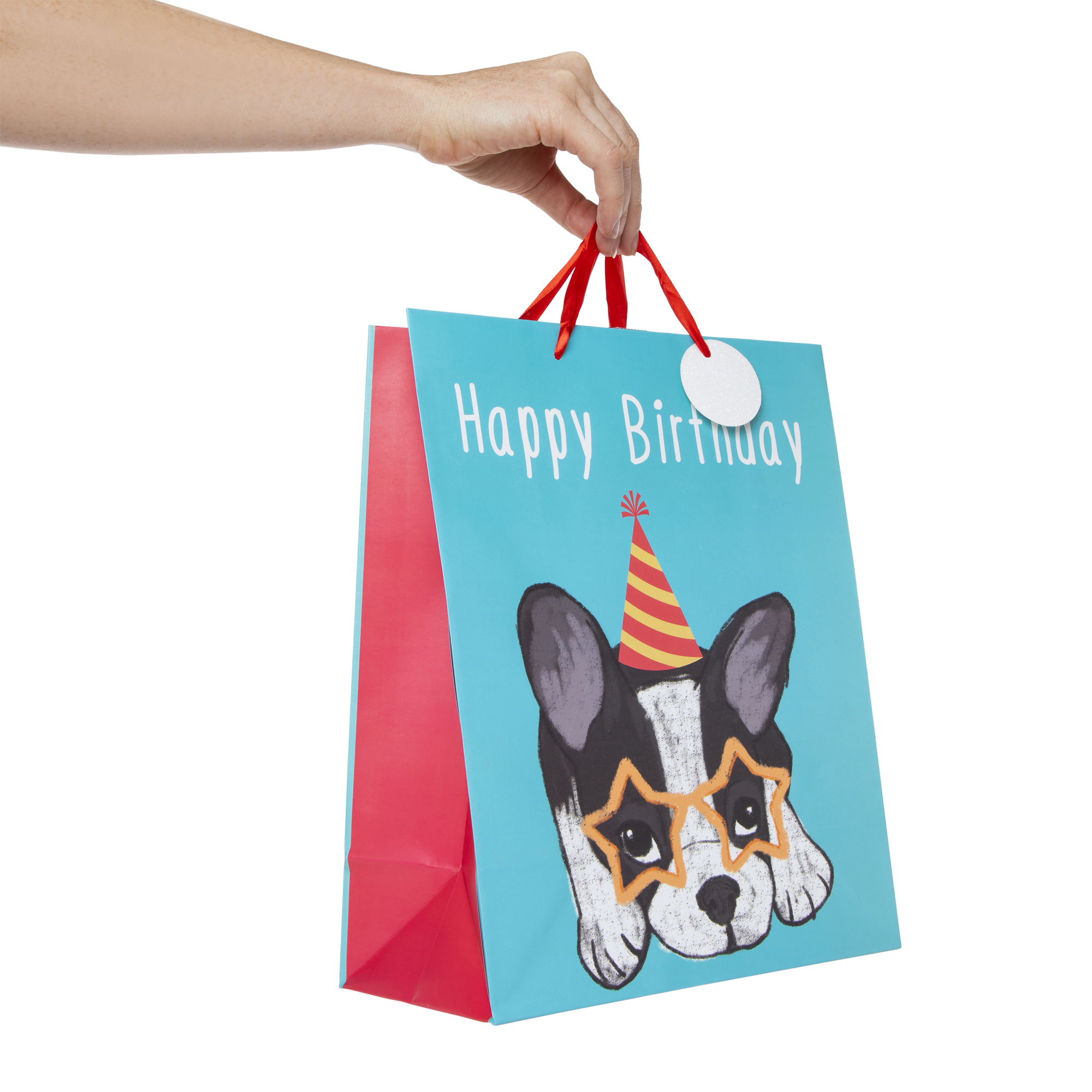 large dog birthday gift bag 10in x 12in