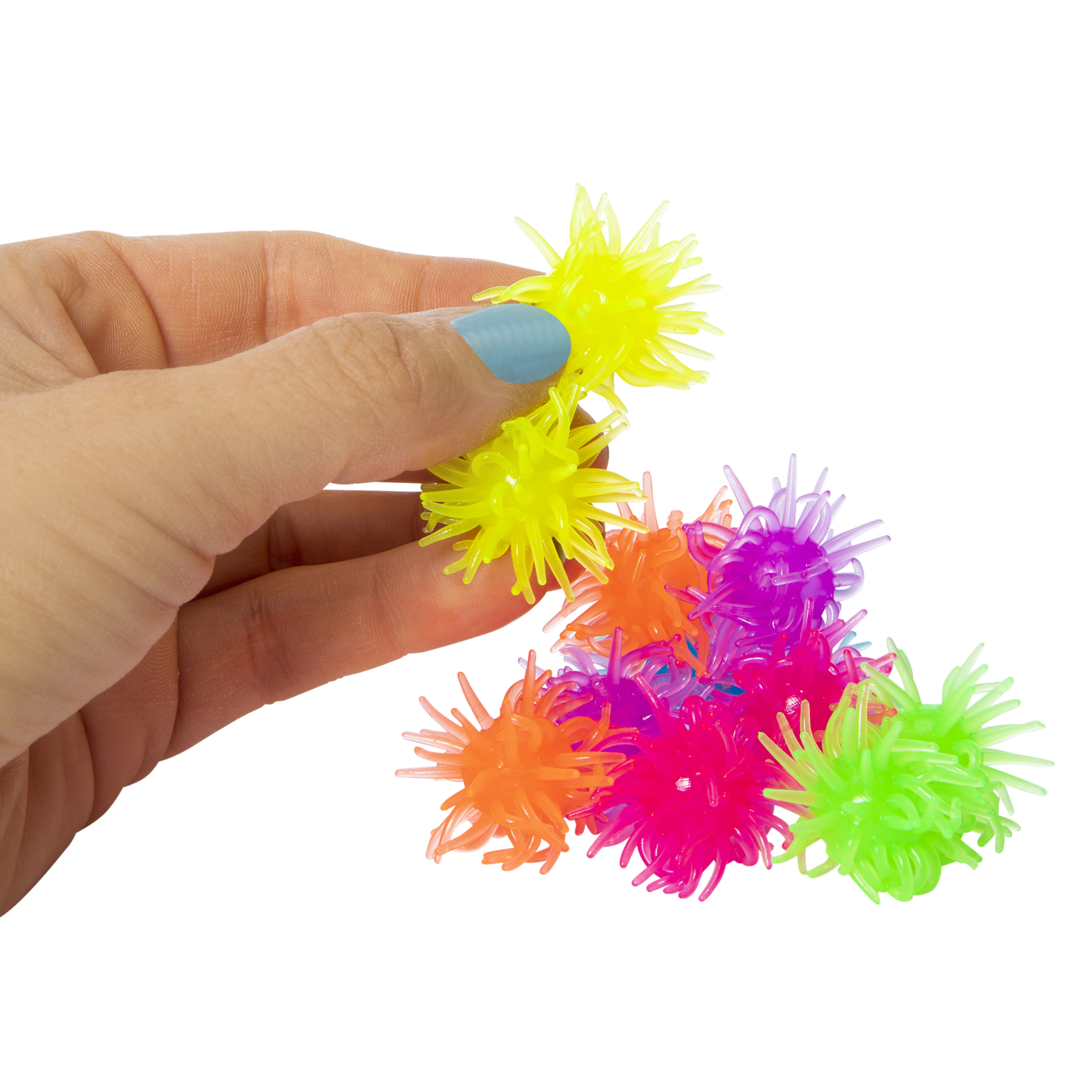 wall walkers 12-pack