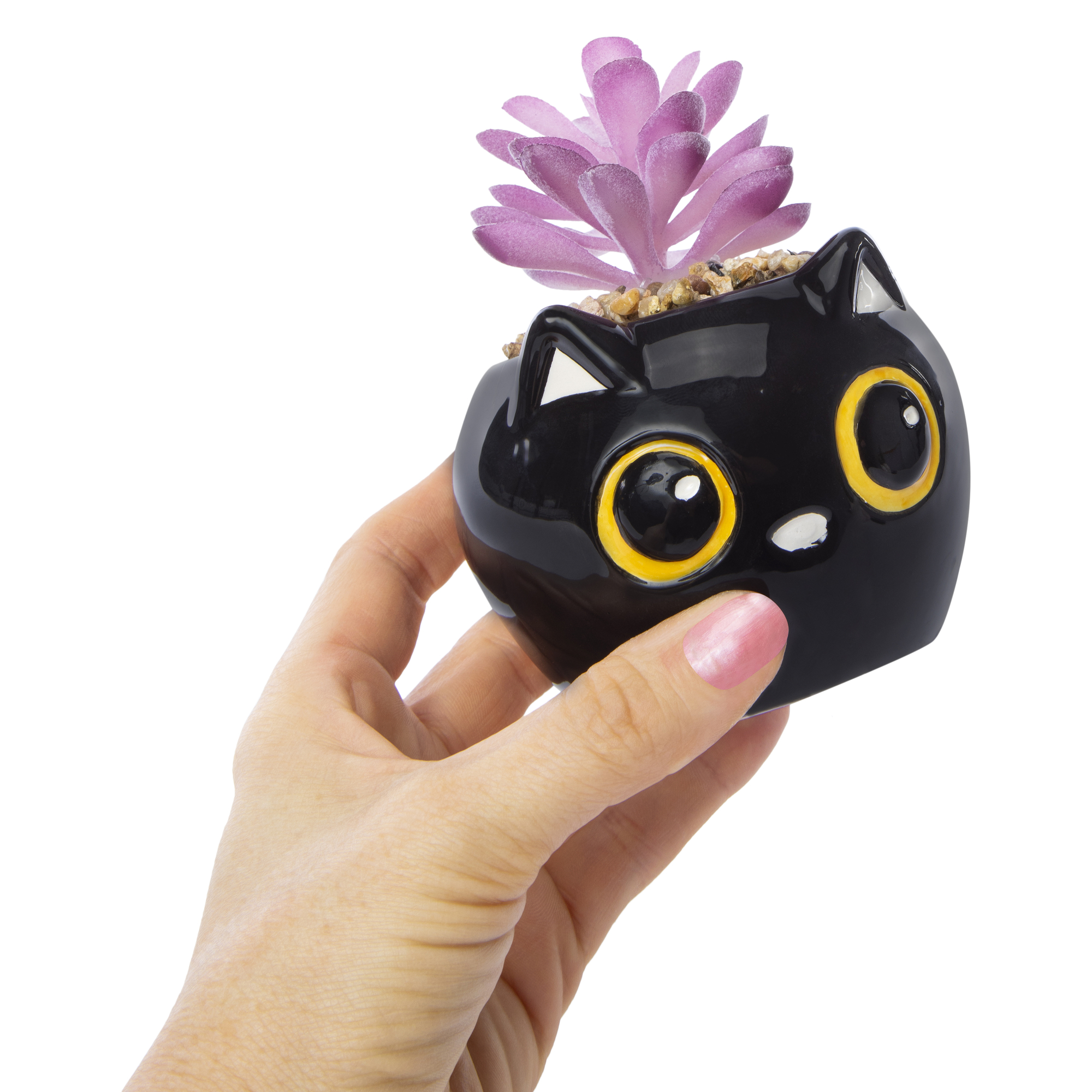 halloween faux succulent 4in