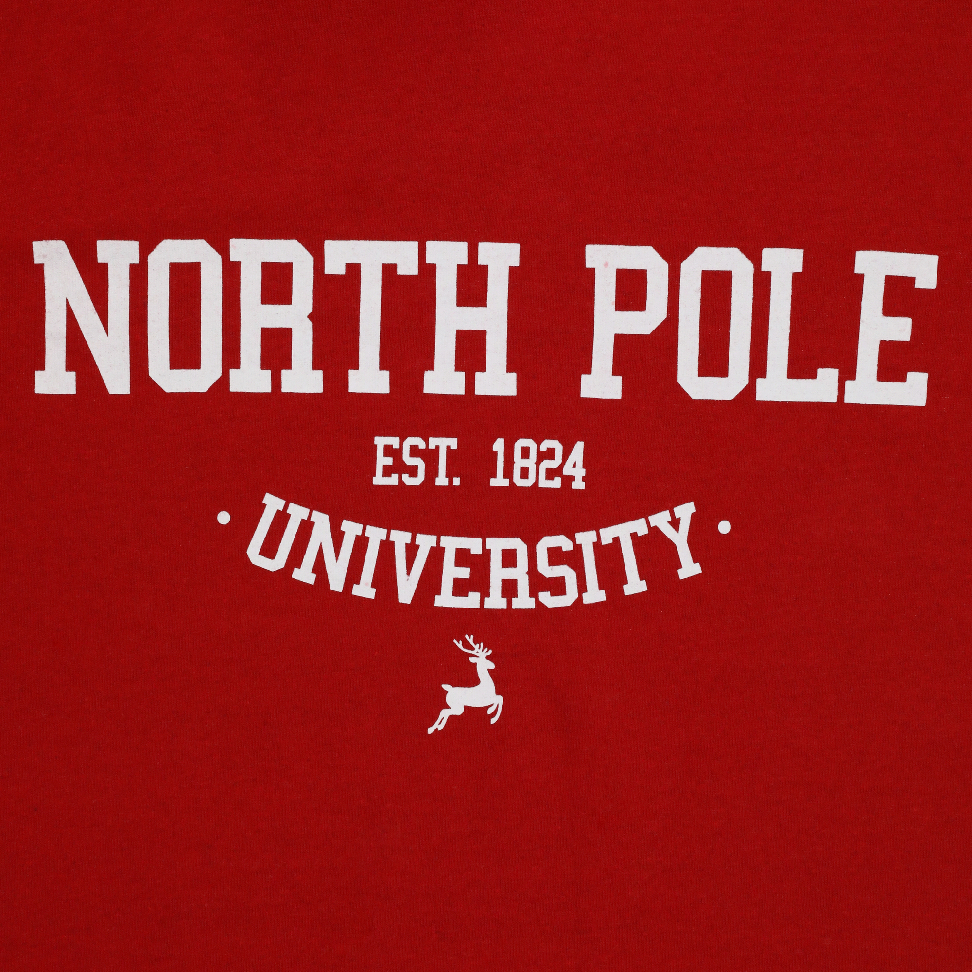 north pole university' graphic tee