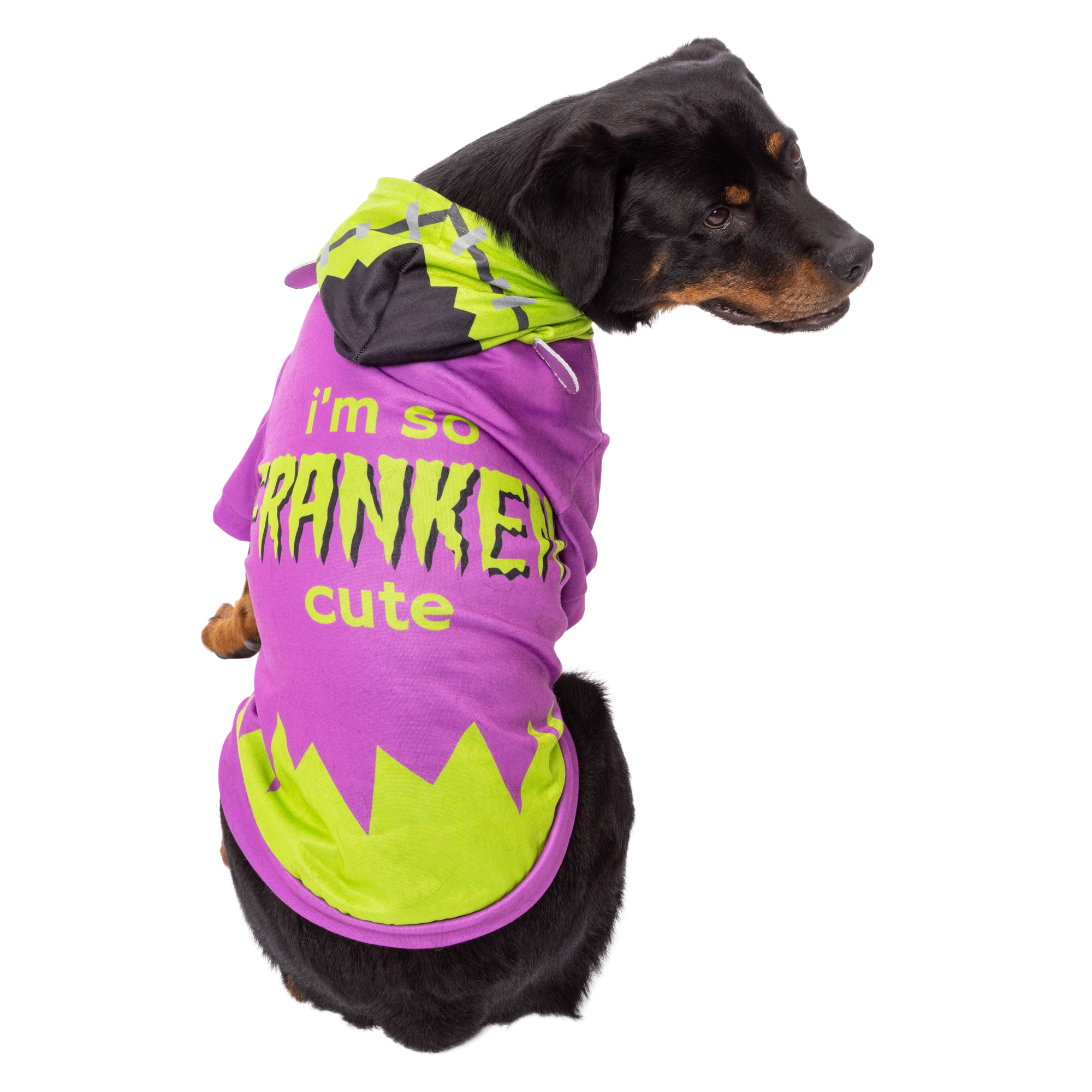 large dog halloween costume hoodie - mutella, Five Below