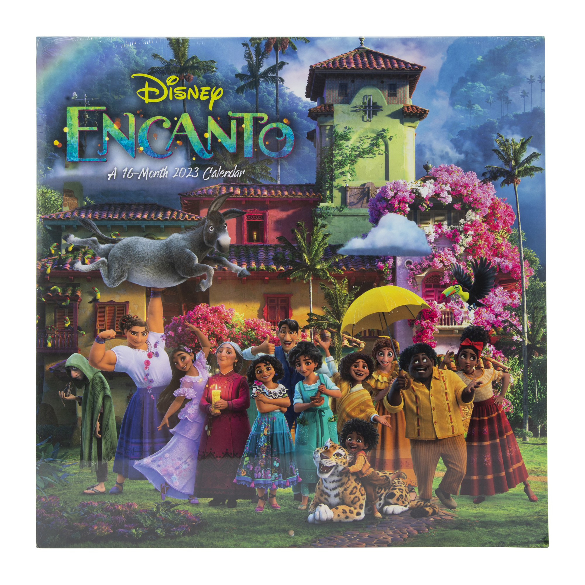 Disney Encanto 16-month 2023 wall calendar