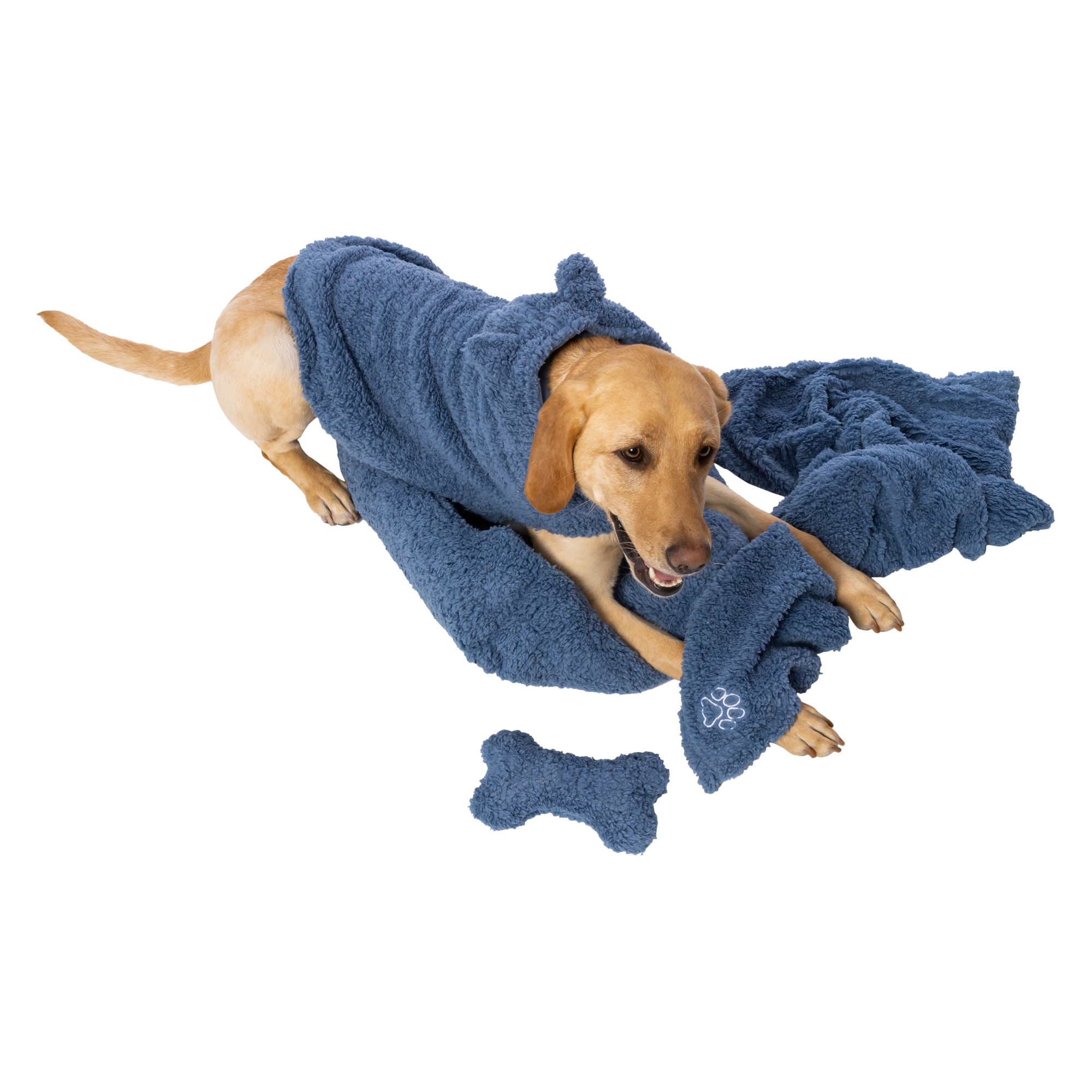 blue sherpa pet hoodie