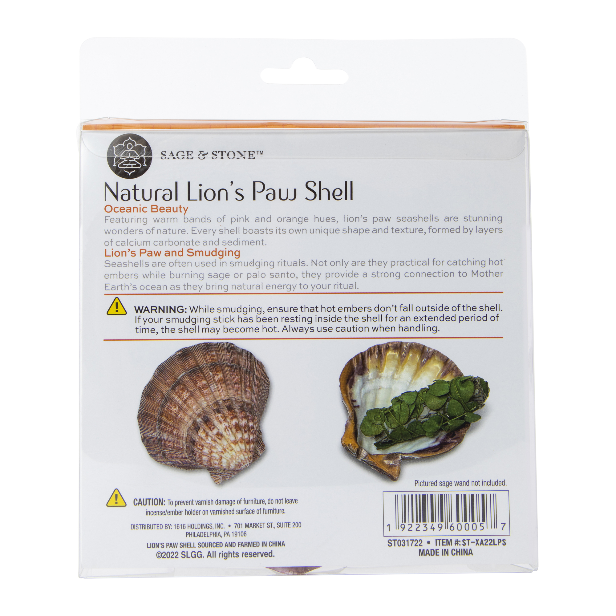 sage & stone™ natural lion’s paw shell for smudging