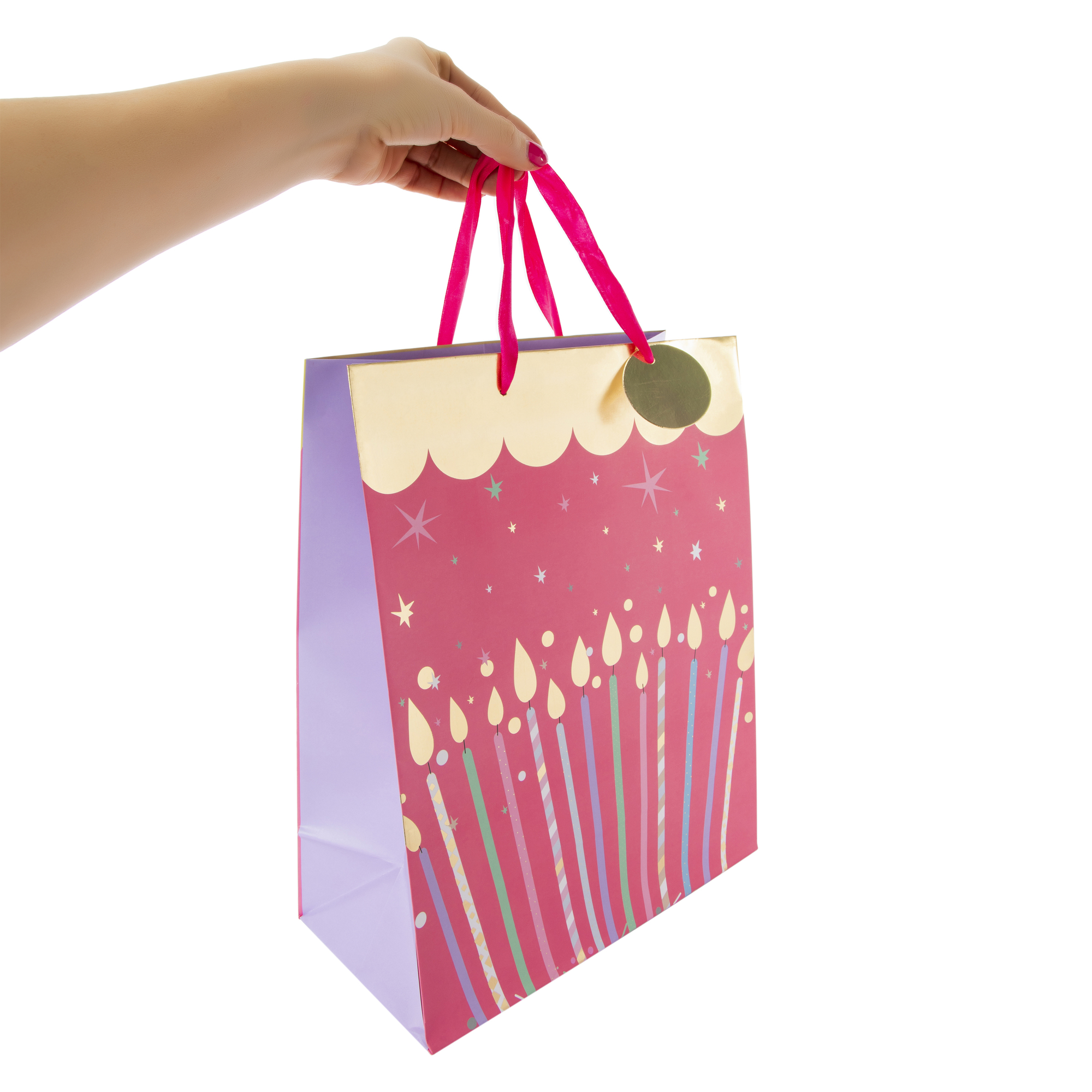 Large Gift Bag 12.5in x 10.38in