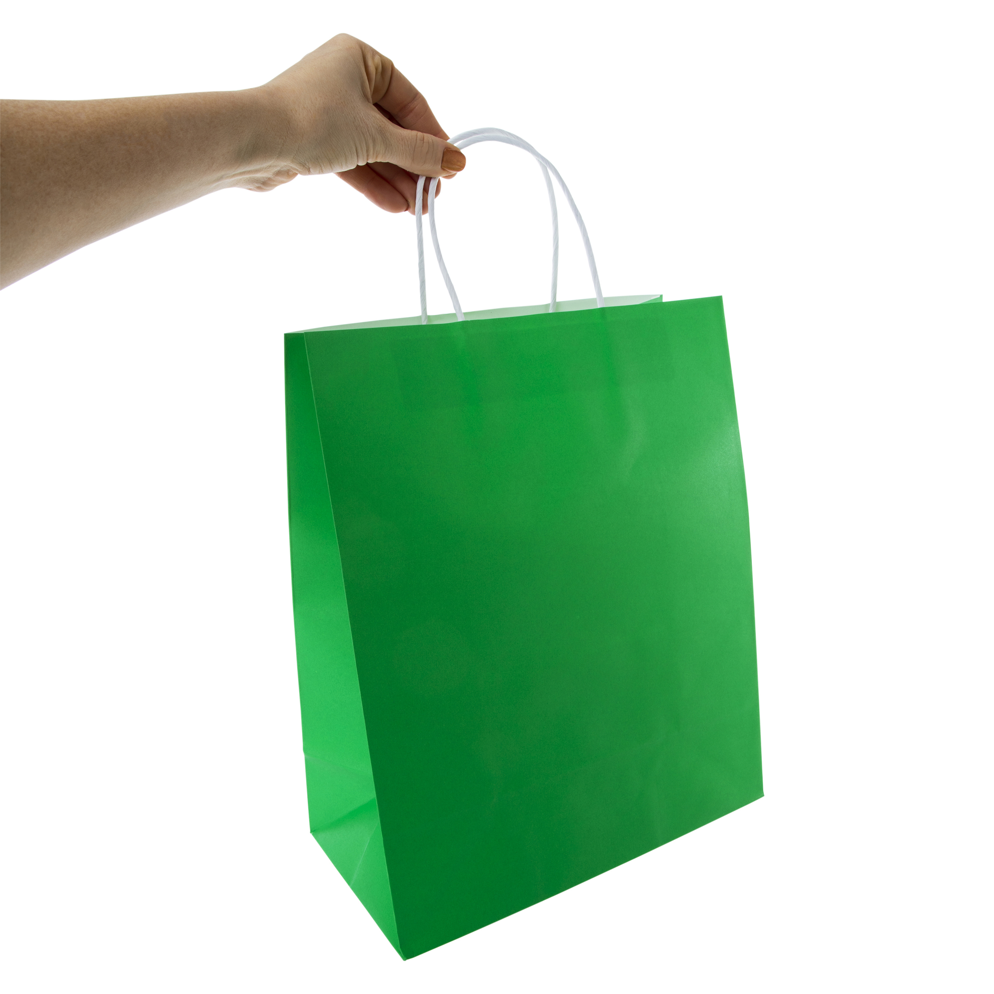 large kraft bags 13in x 10in 5-count