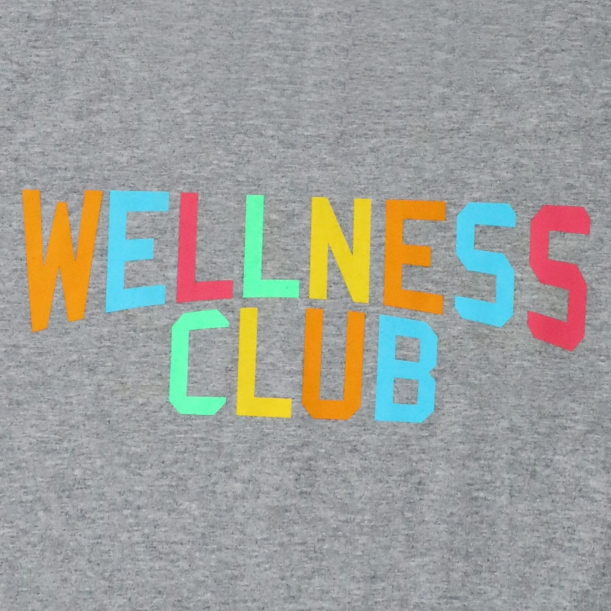 rainbow 'wellness club' graphic tee
