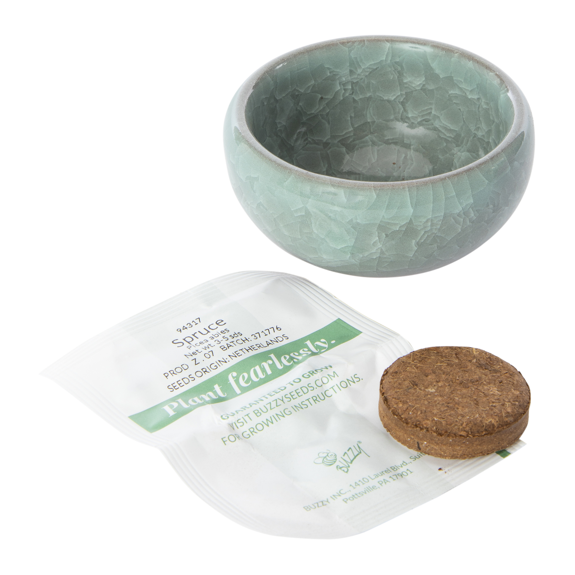 potted bonsai grow kit