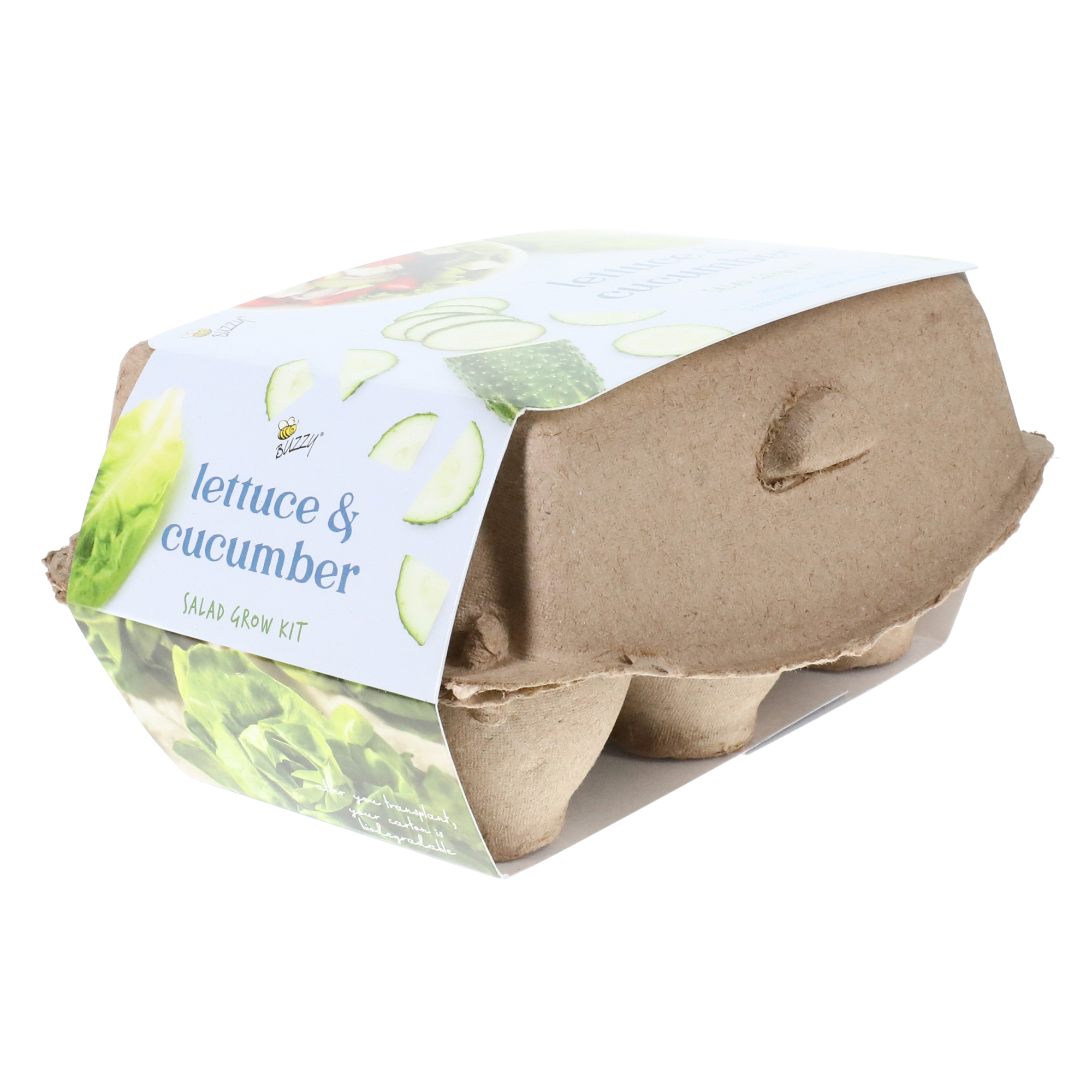 buzzy® biodegradable ingredient grow kit