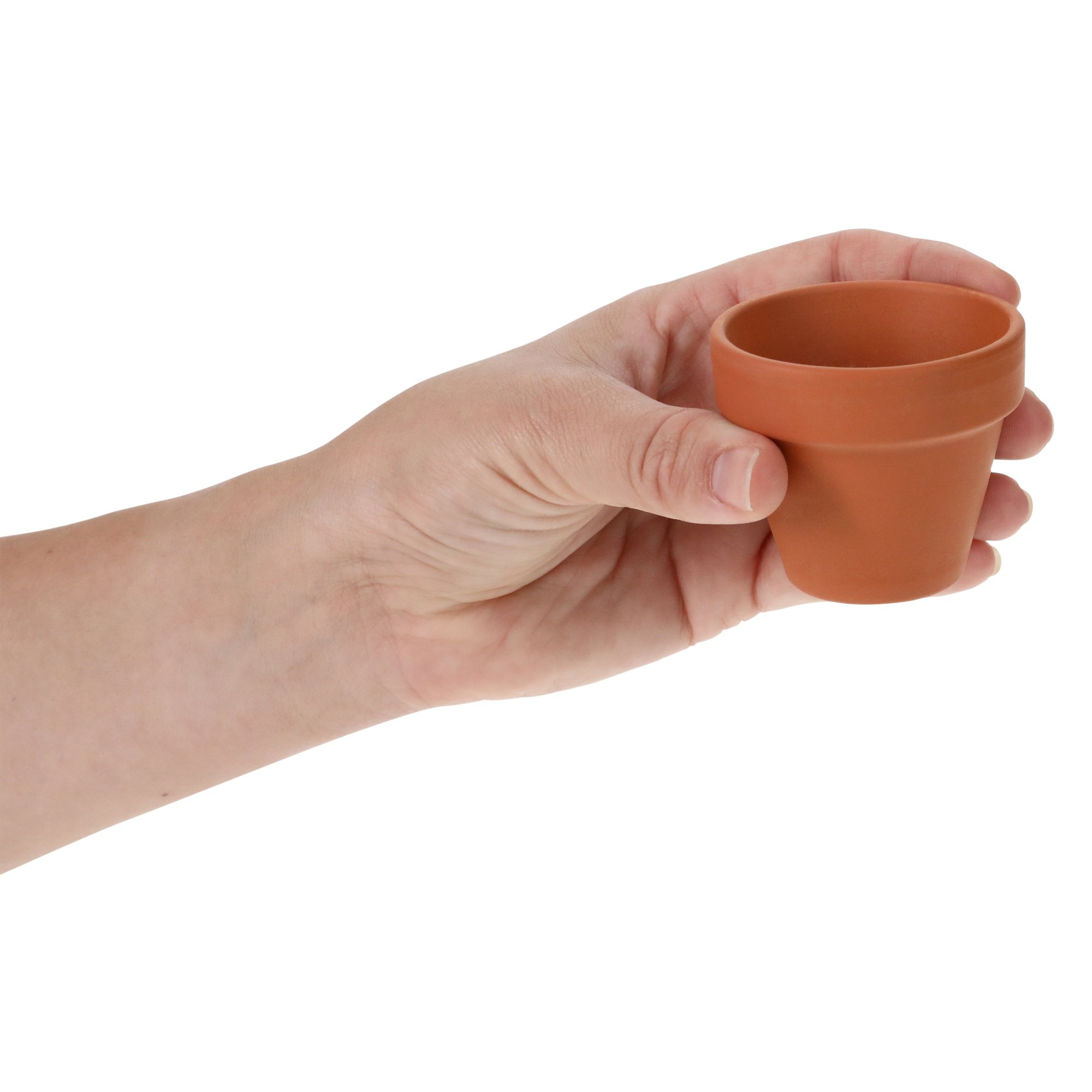 Mini Potted Plant Grow Kit - Daisy