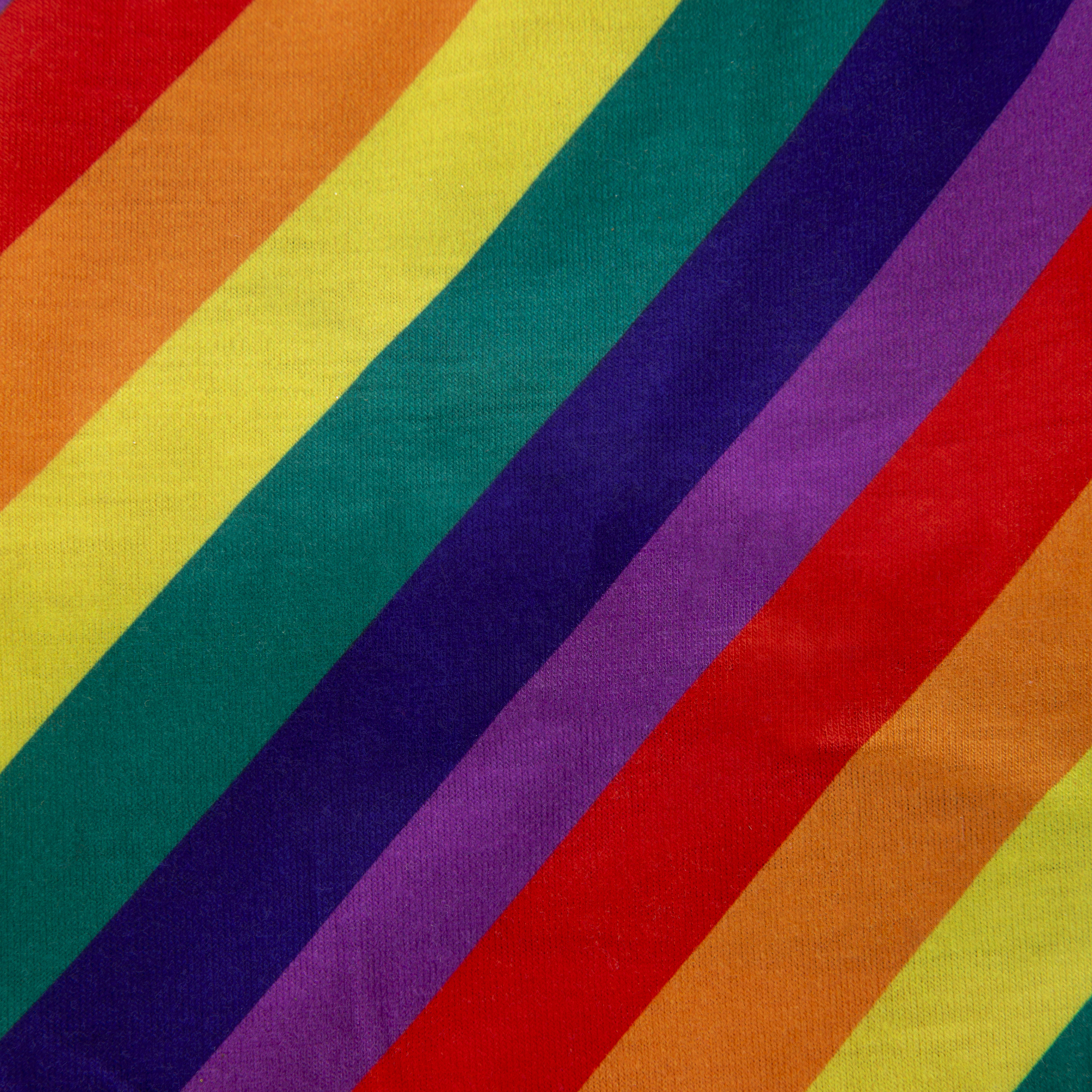 matching pet & owner holiday beanie hats set