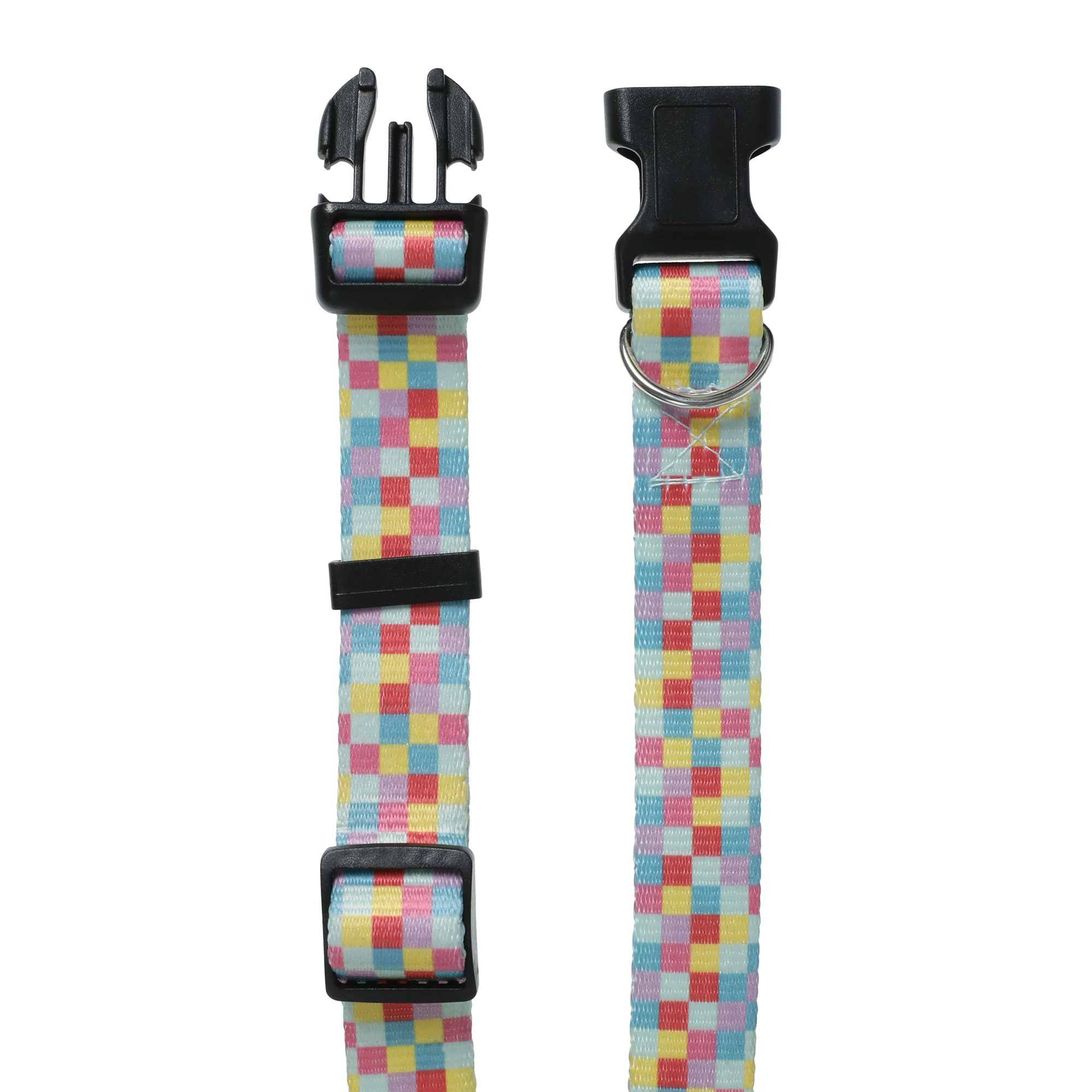 rainbow checker pet collar