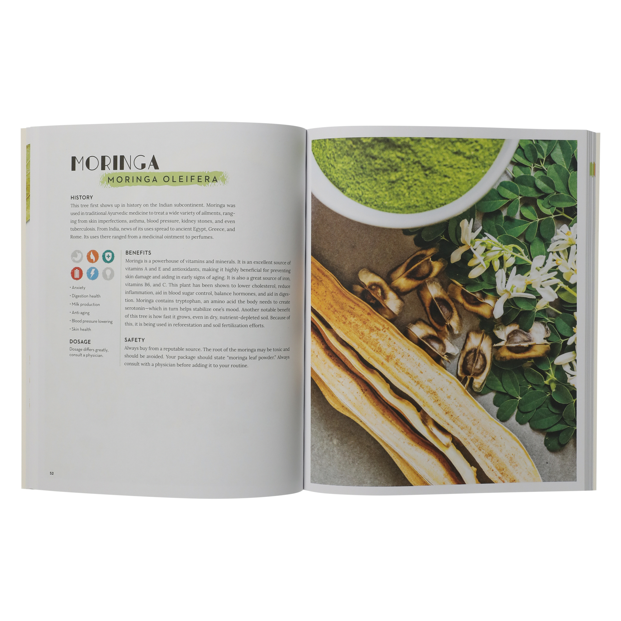 adaptogens: a directory of over 40 herbs