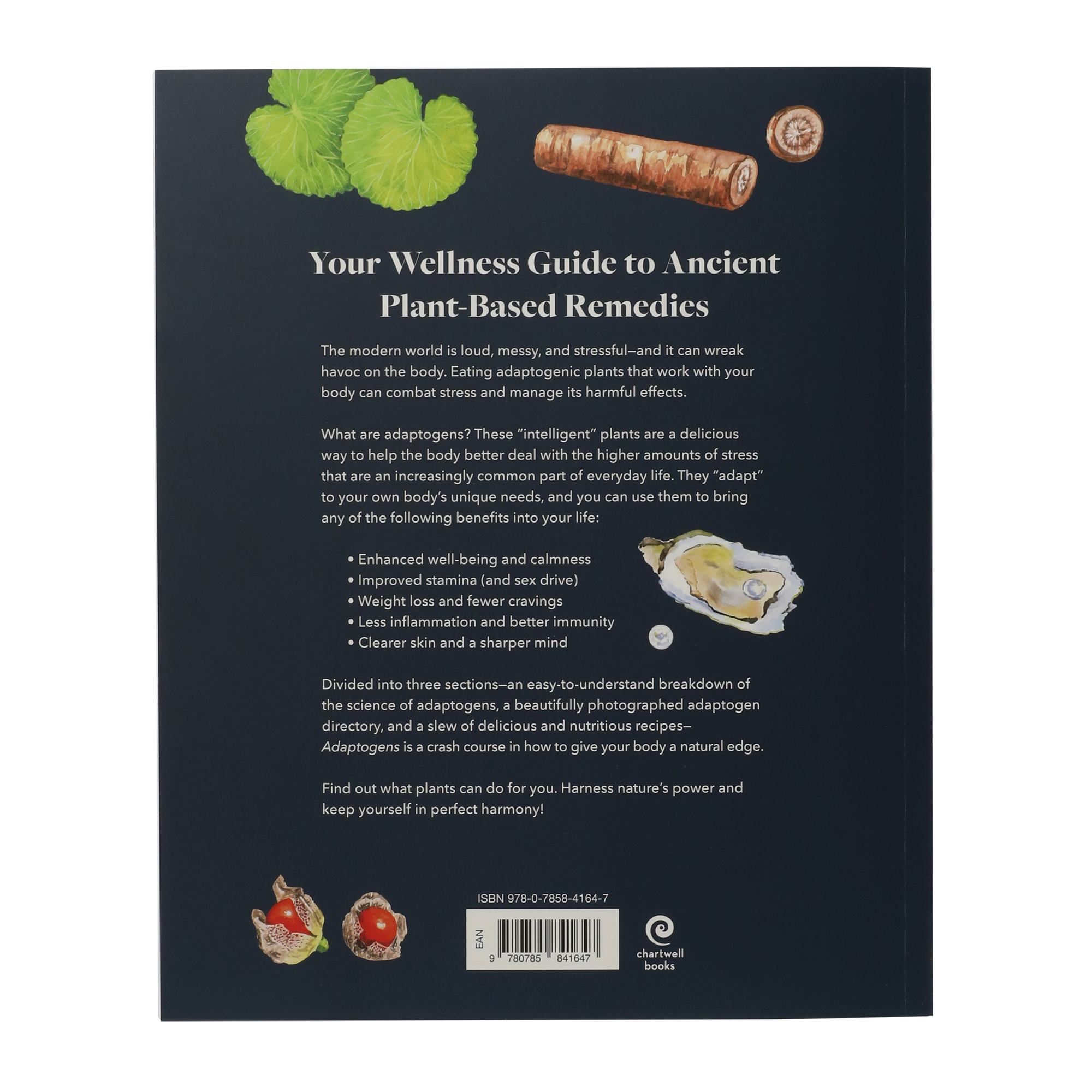 adaptogens: a directory of over 40 herbs