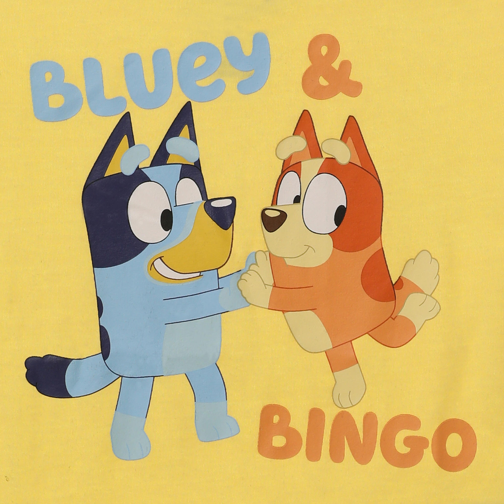 kid's bluey™ & bingo graphic tee