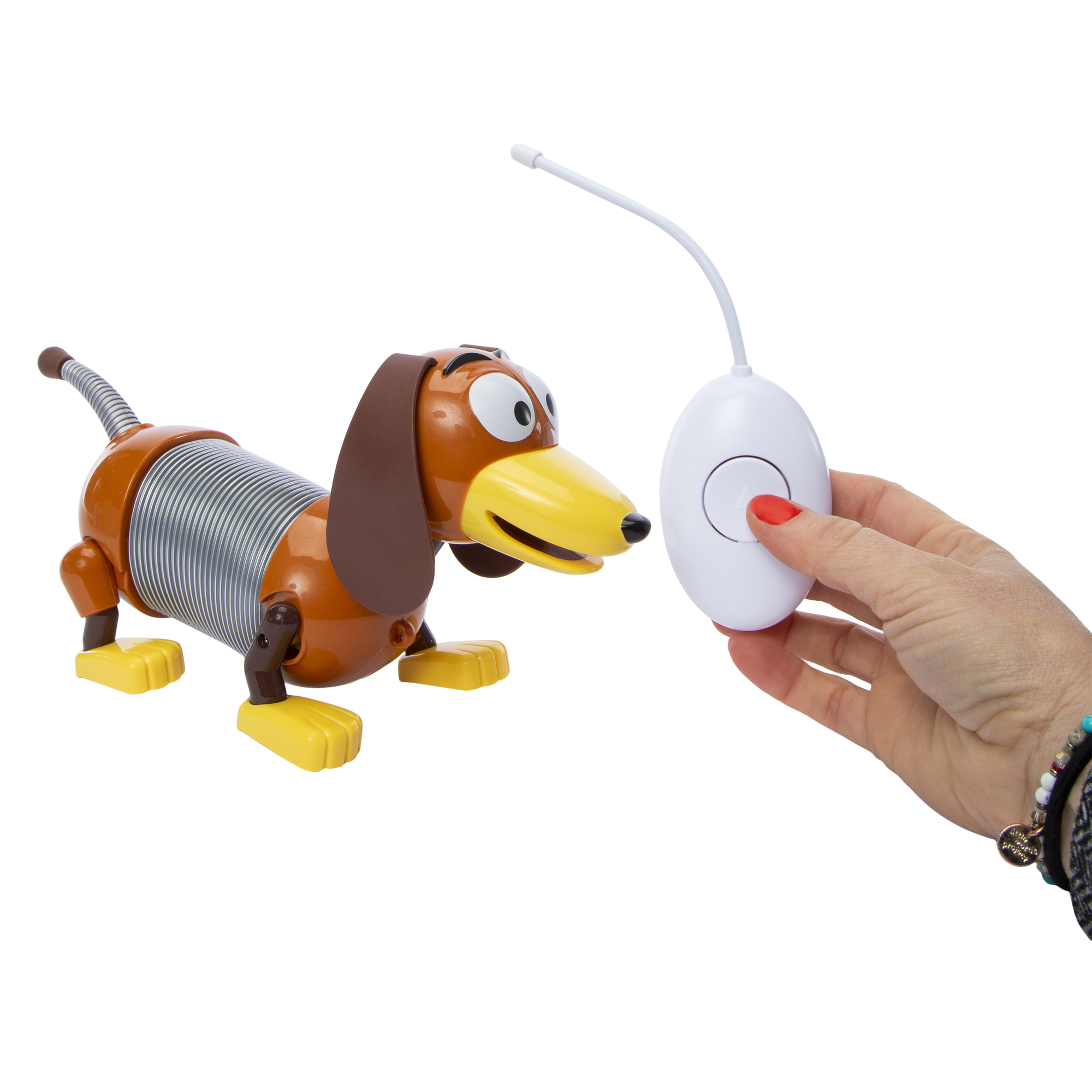 Remote dog store toy