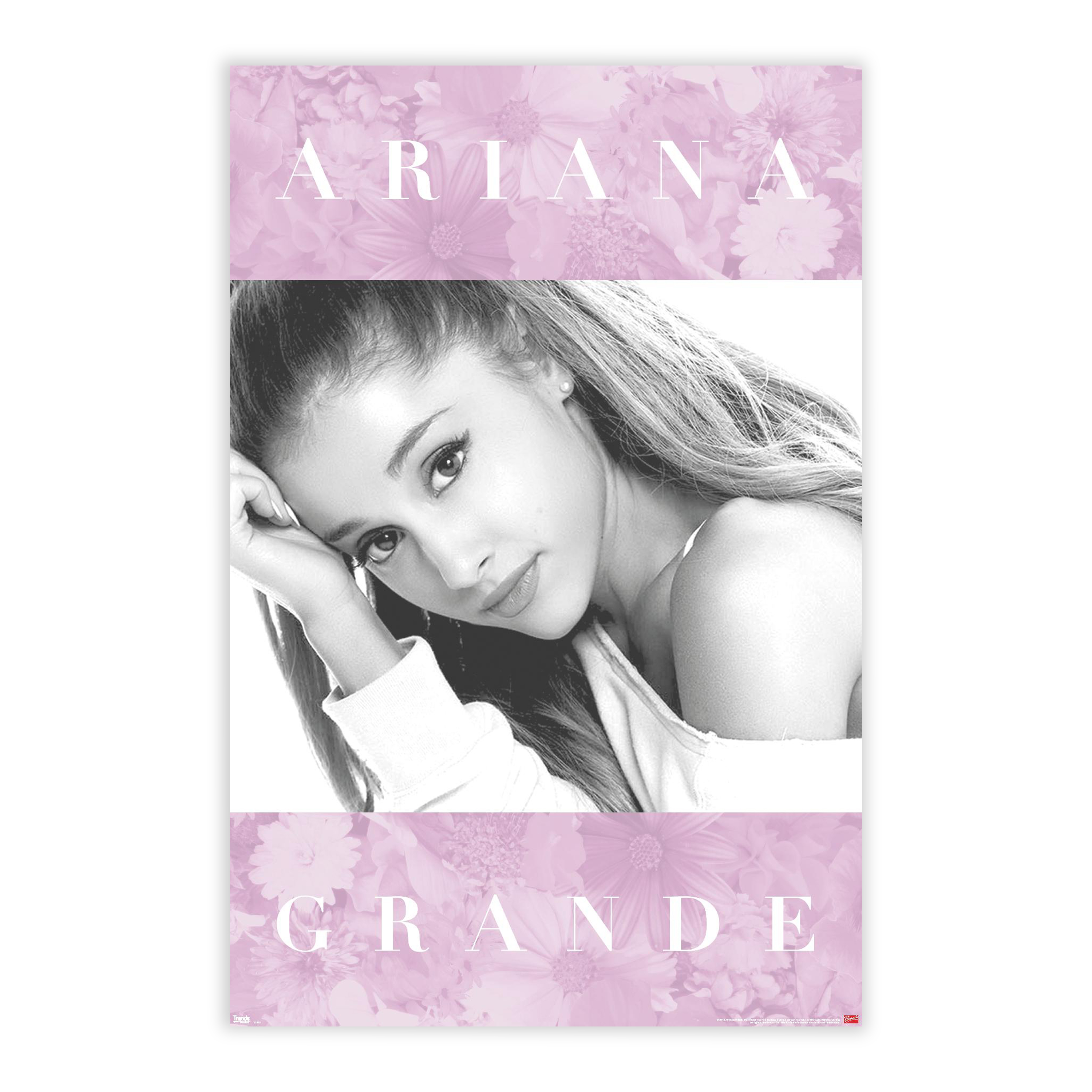 Ariana Grande Wall Poster 22.37in x 34in