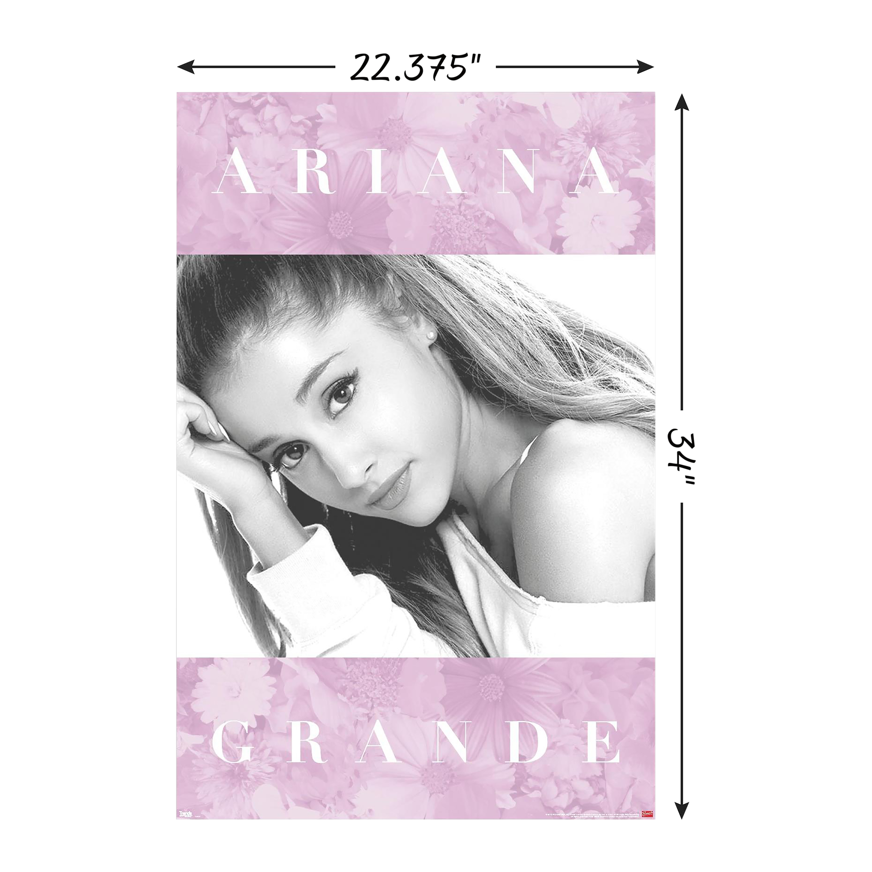 Ariana Grande Wall Poster 22.37in x 34in
