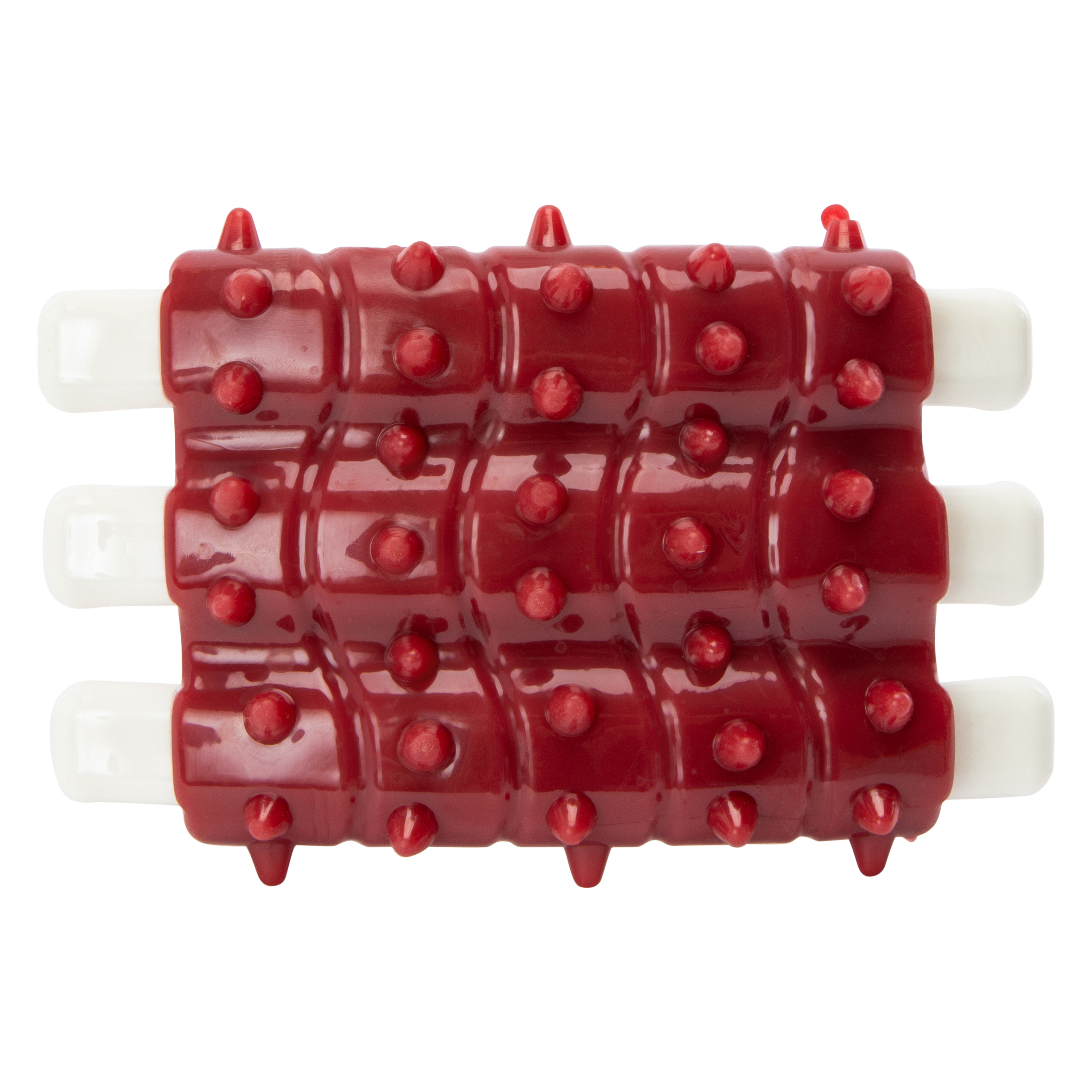Tough Chew Teether Dog Toy - Ribs