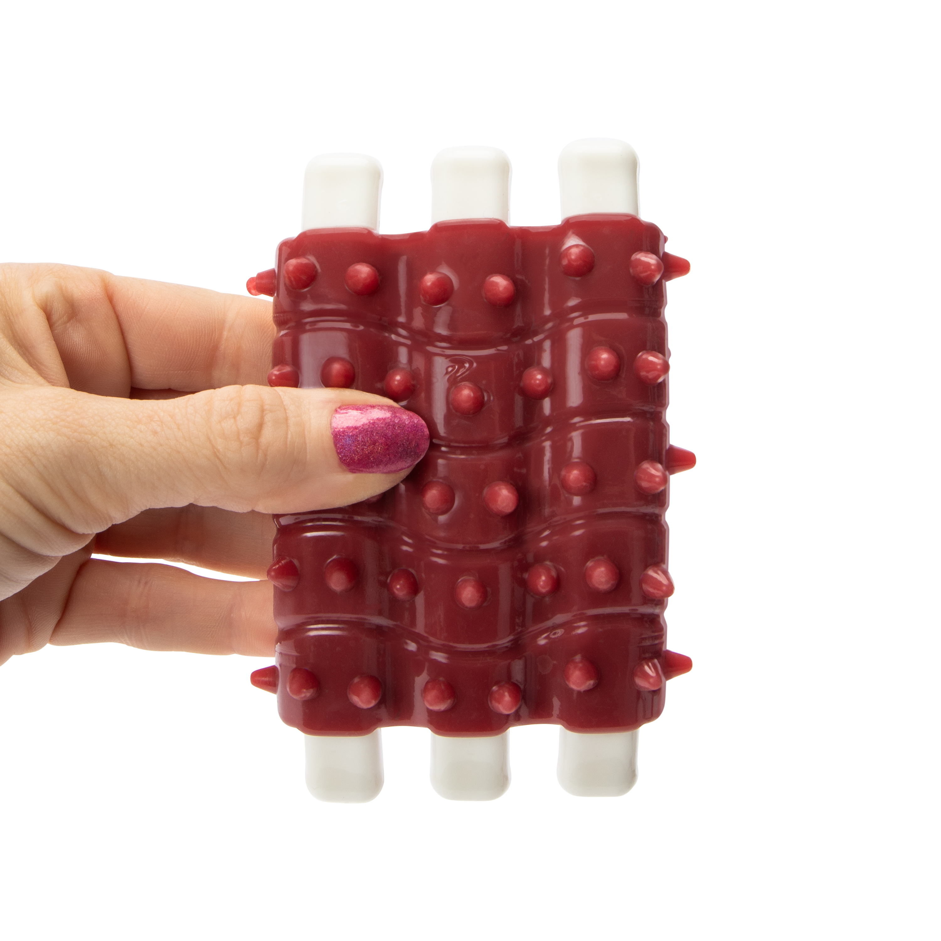 Tough Chew Teether Dog Toy - Ribs