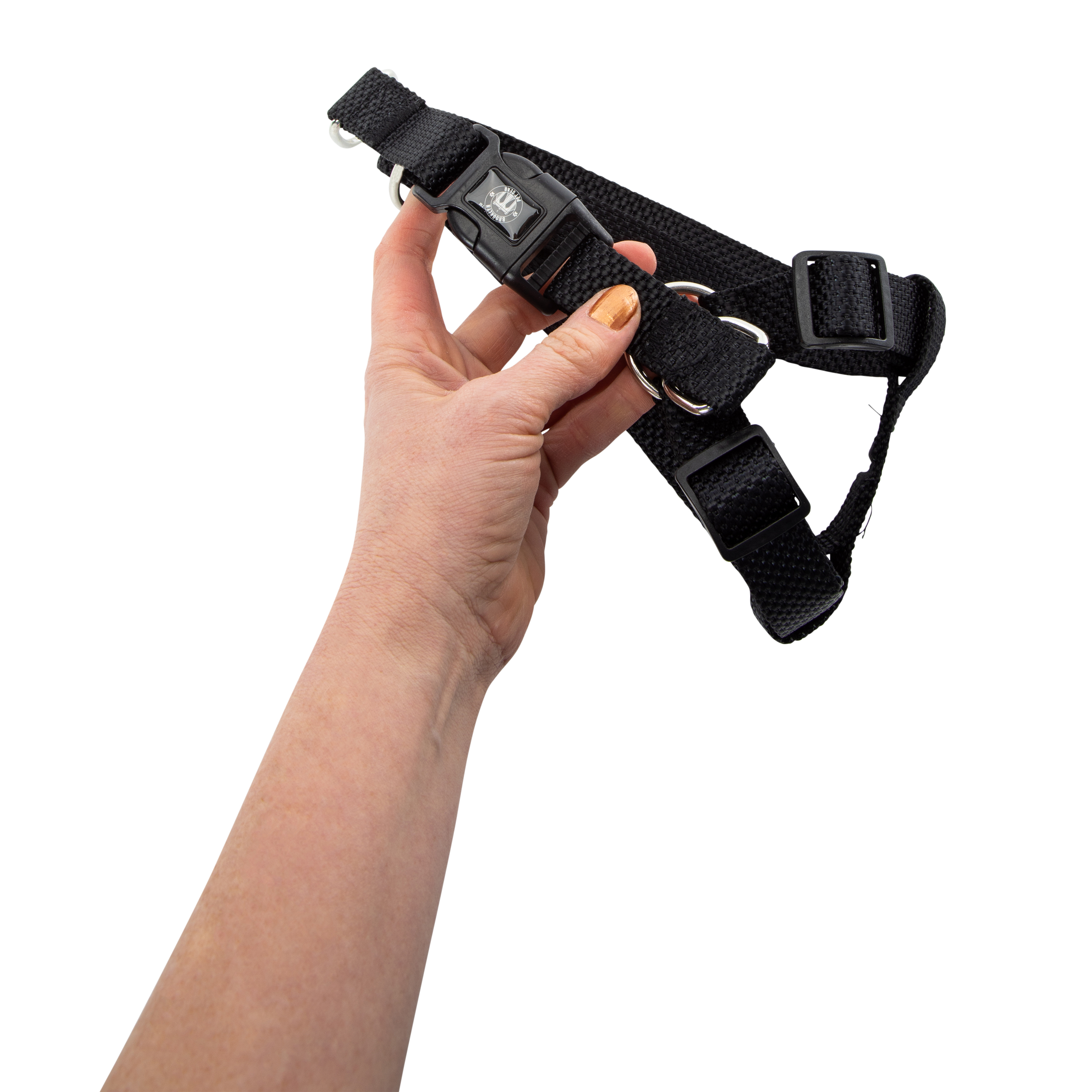 Large Dog Harness & Leash Set