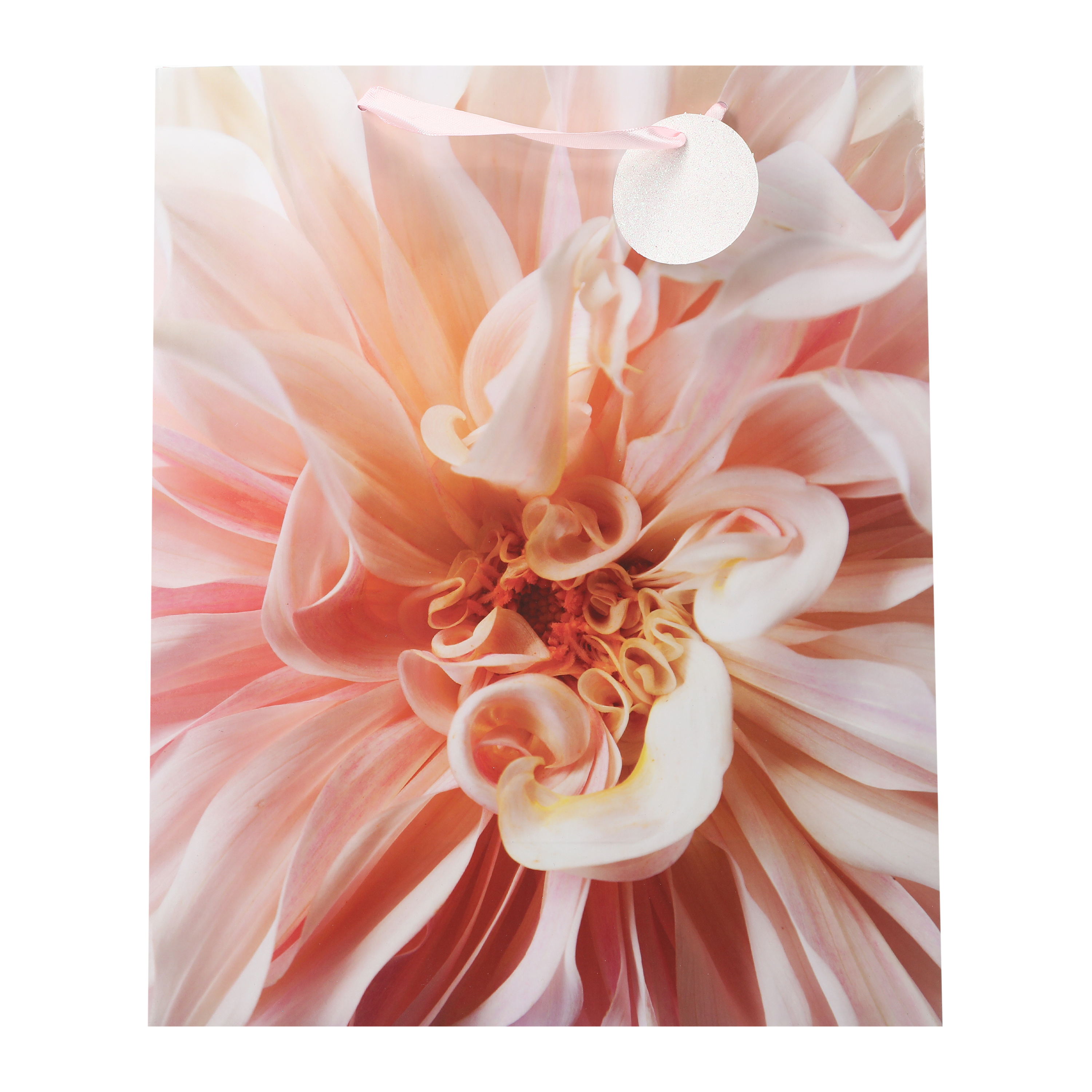 Large Floral-Print Gift Bag 10.375in x 12.75in