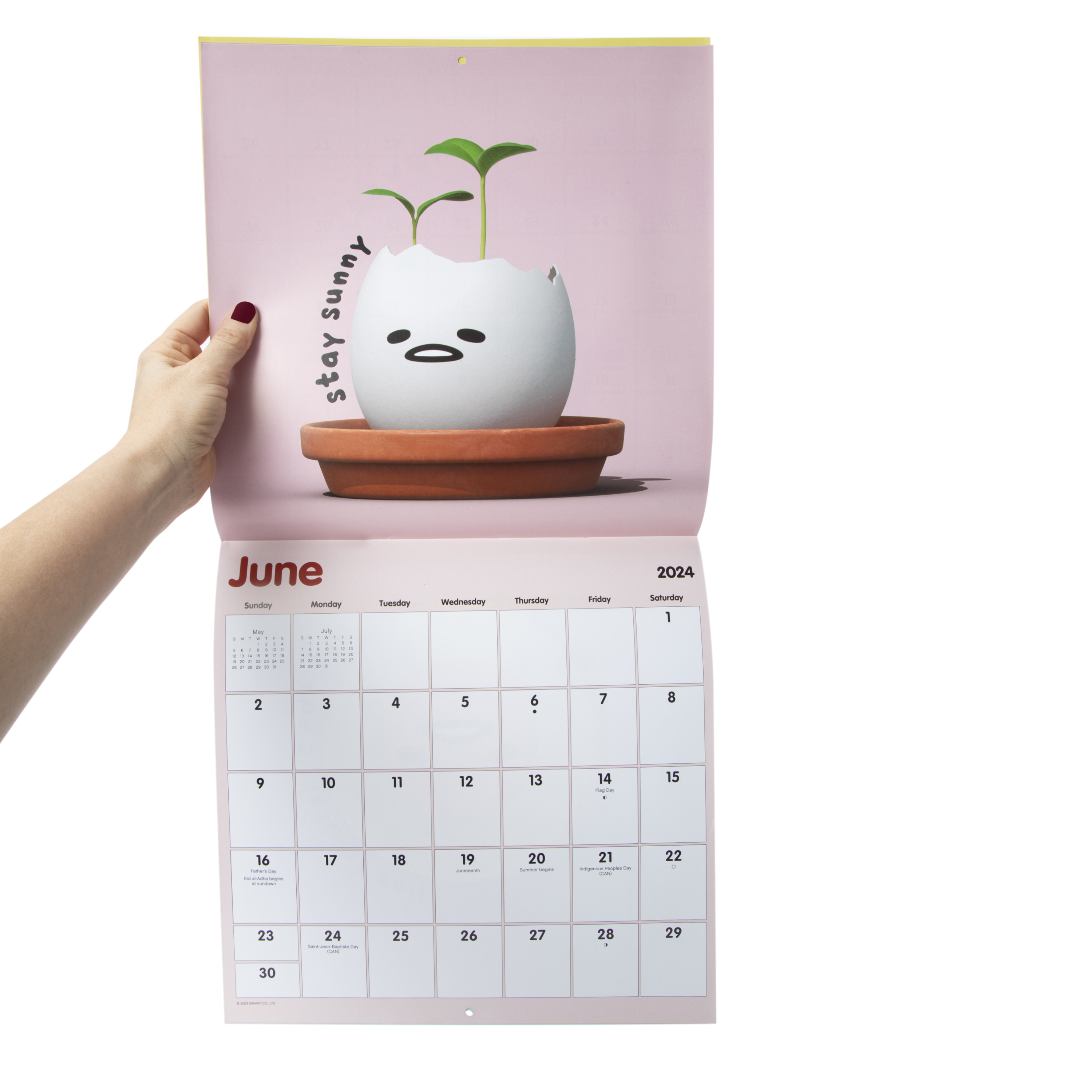 Fandom 2024 Wall Calendar 16-Month | Five Below