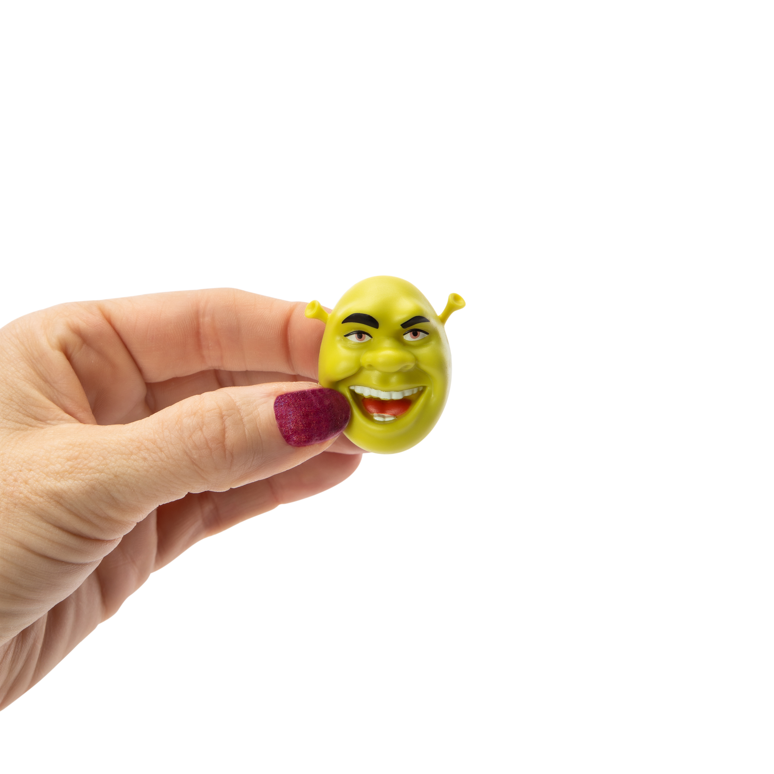 DreamWorks Shrek Snap Kit Figure
