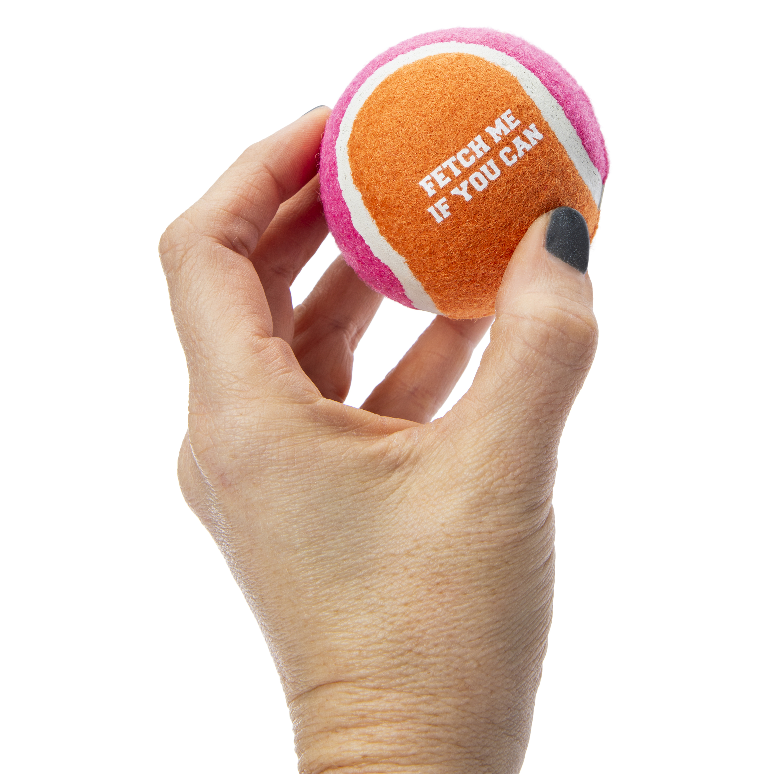 Tennis Ball Dog Toys 6-Count