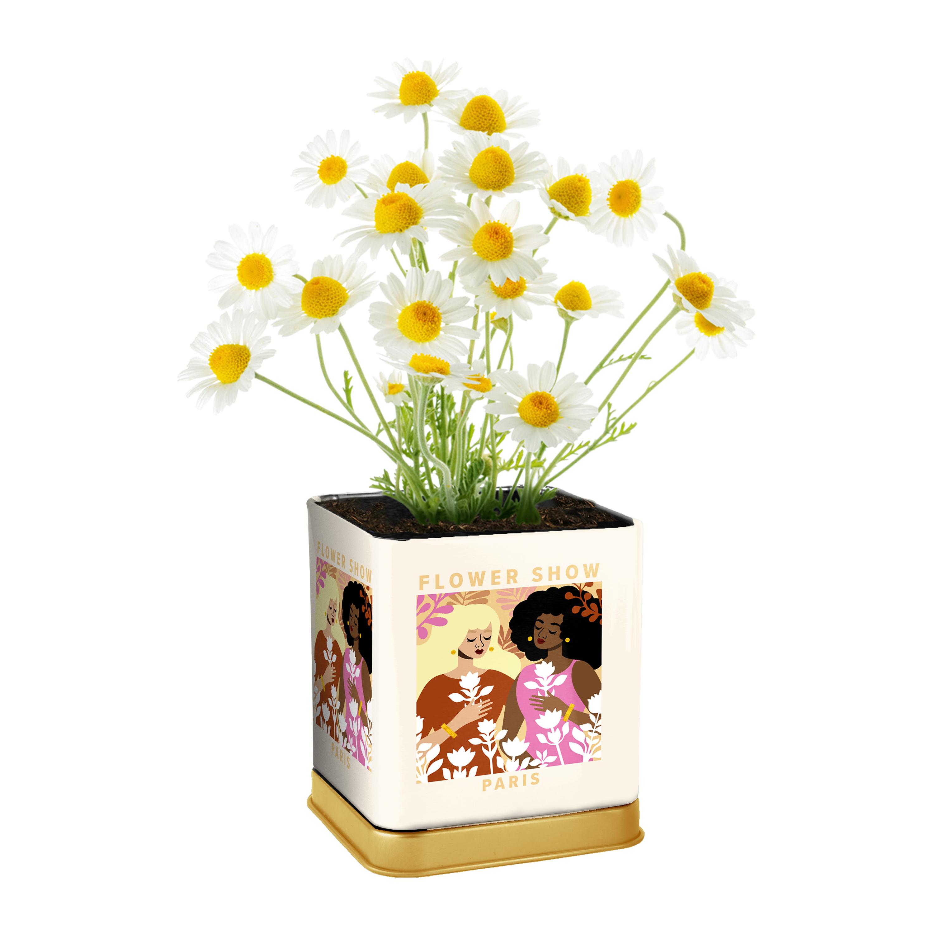 おまけ付【新品未開封】N organic Bright 5点セット Grow Your Own Herb Kit In Decorative Tin 3in | Five Below