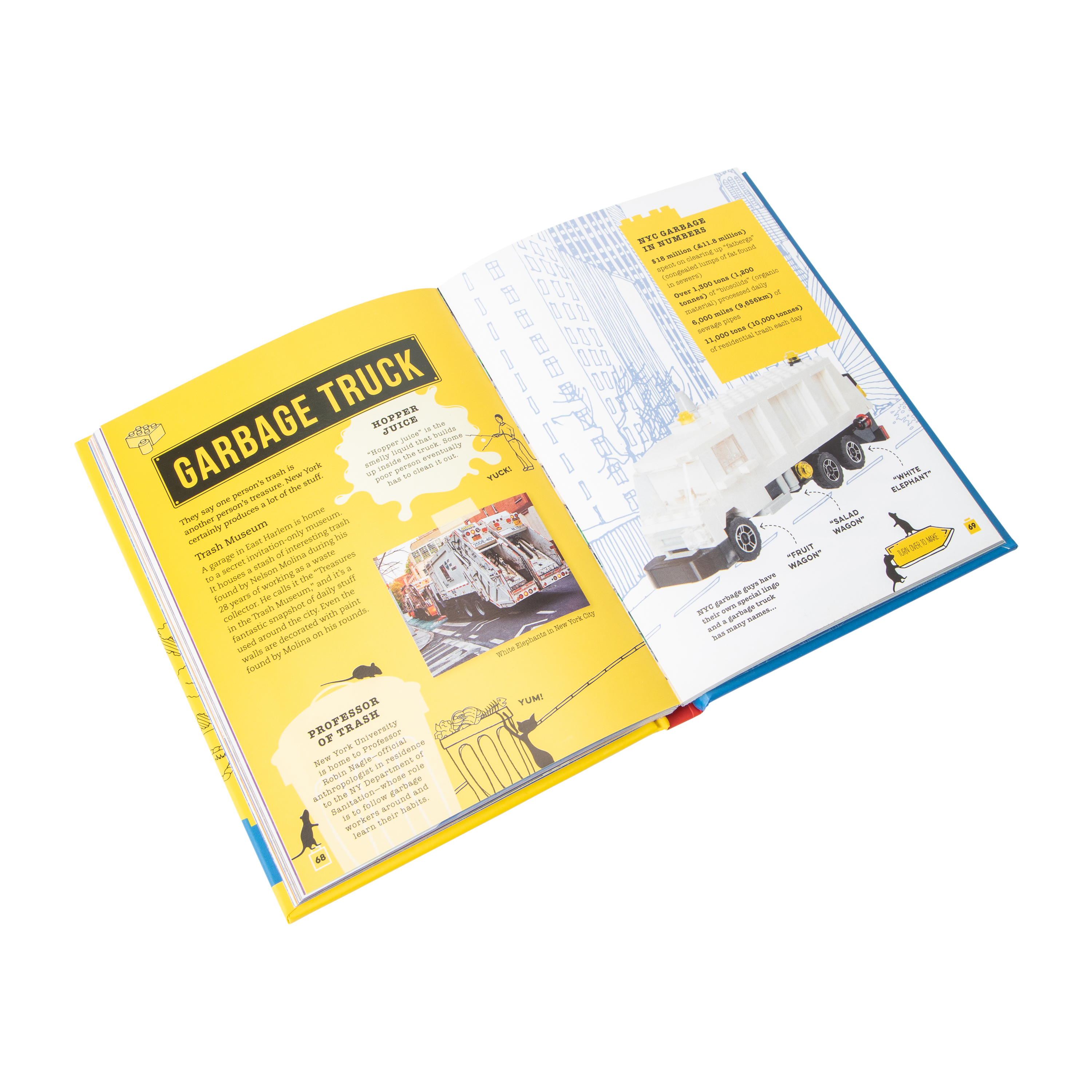 Lonely Planet Brick City New York Book