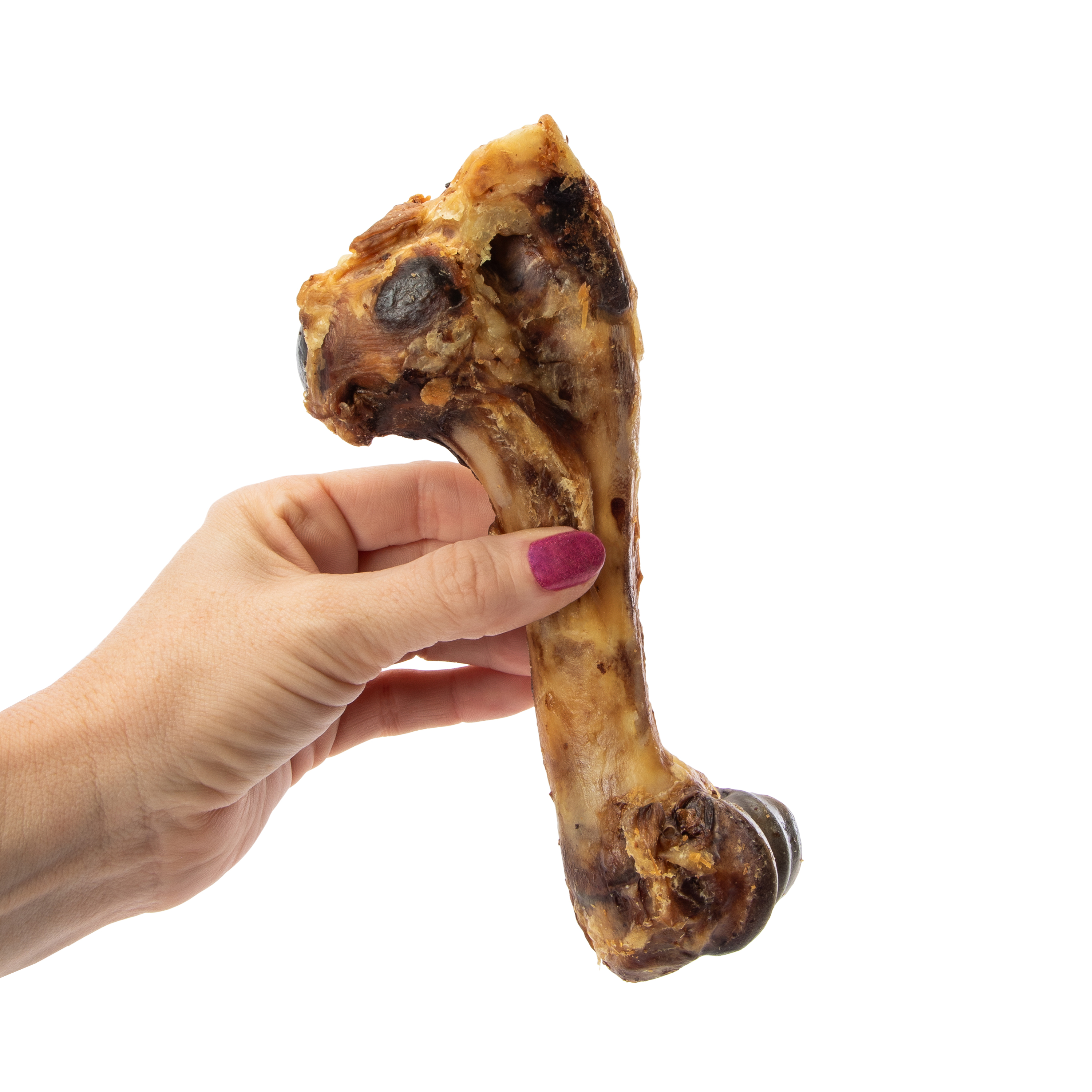 Baxter Boy Ham Bone 1-Count